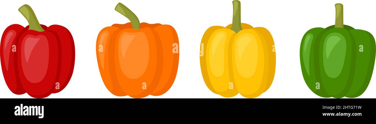 Sweet red, yellow, orange peppers, bell pepper, vector illustration Stock Vector