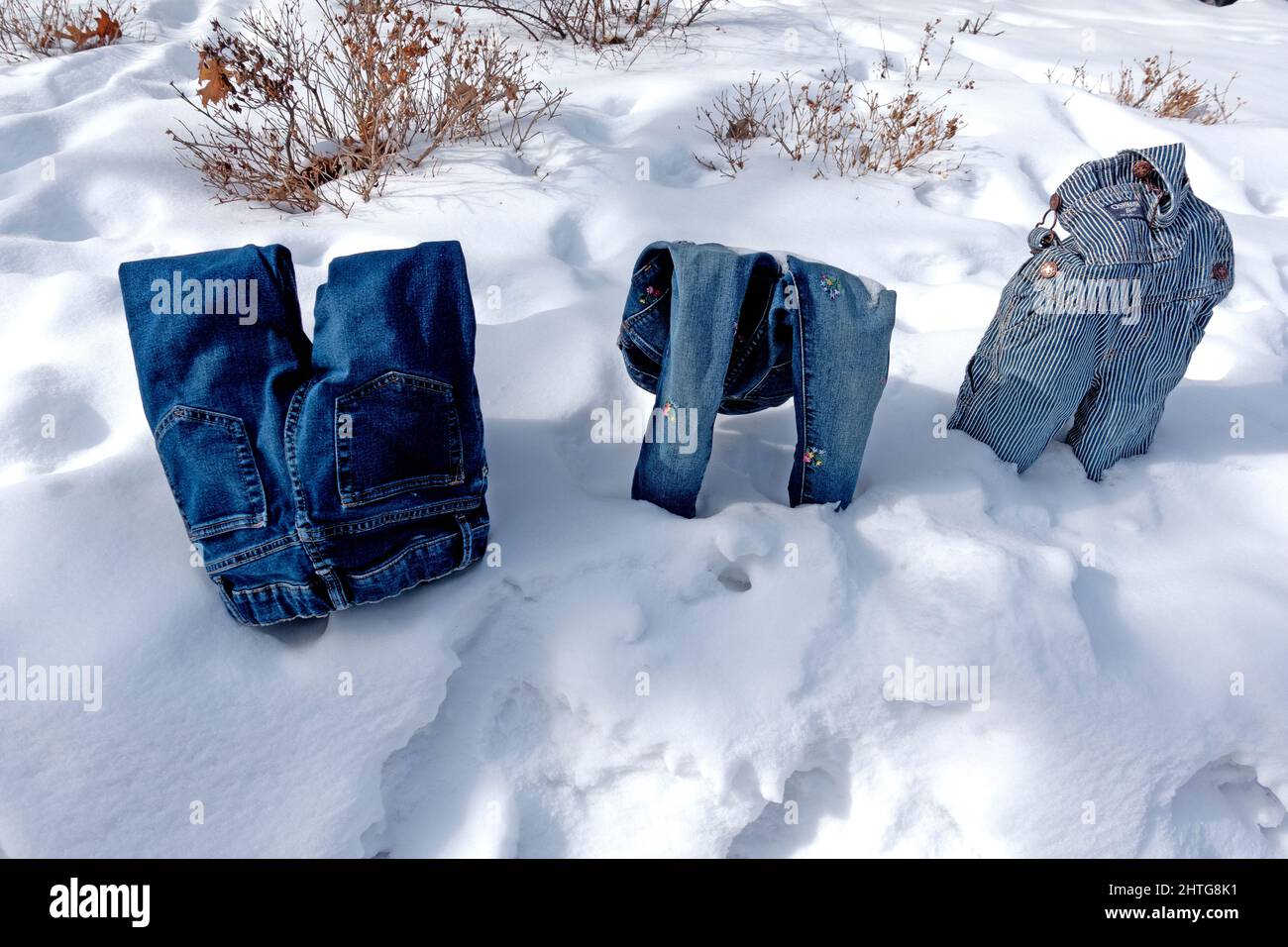 Stand up pants frozen in the snow. Minneapolis Minnesota MN USA Stock Photo