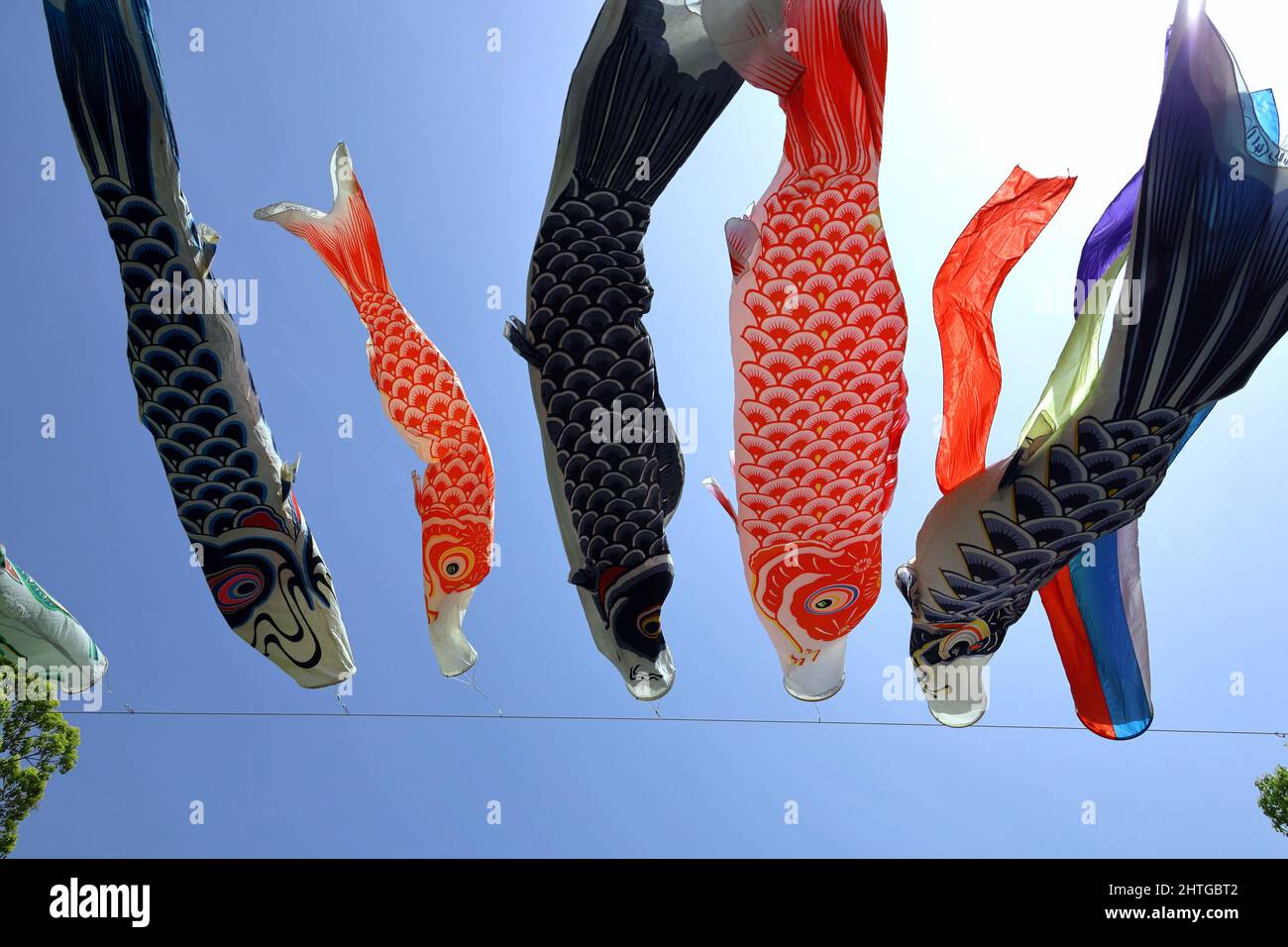 A blue clear sky and a Koi fish streamer swaying in the wind Stock Photo