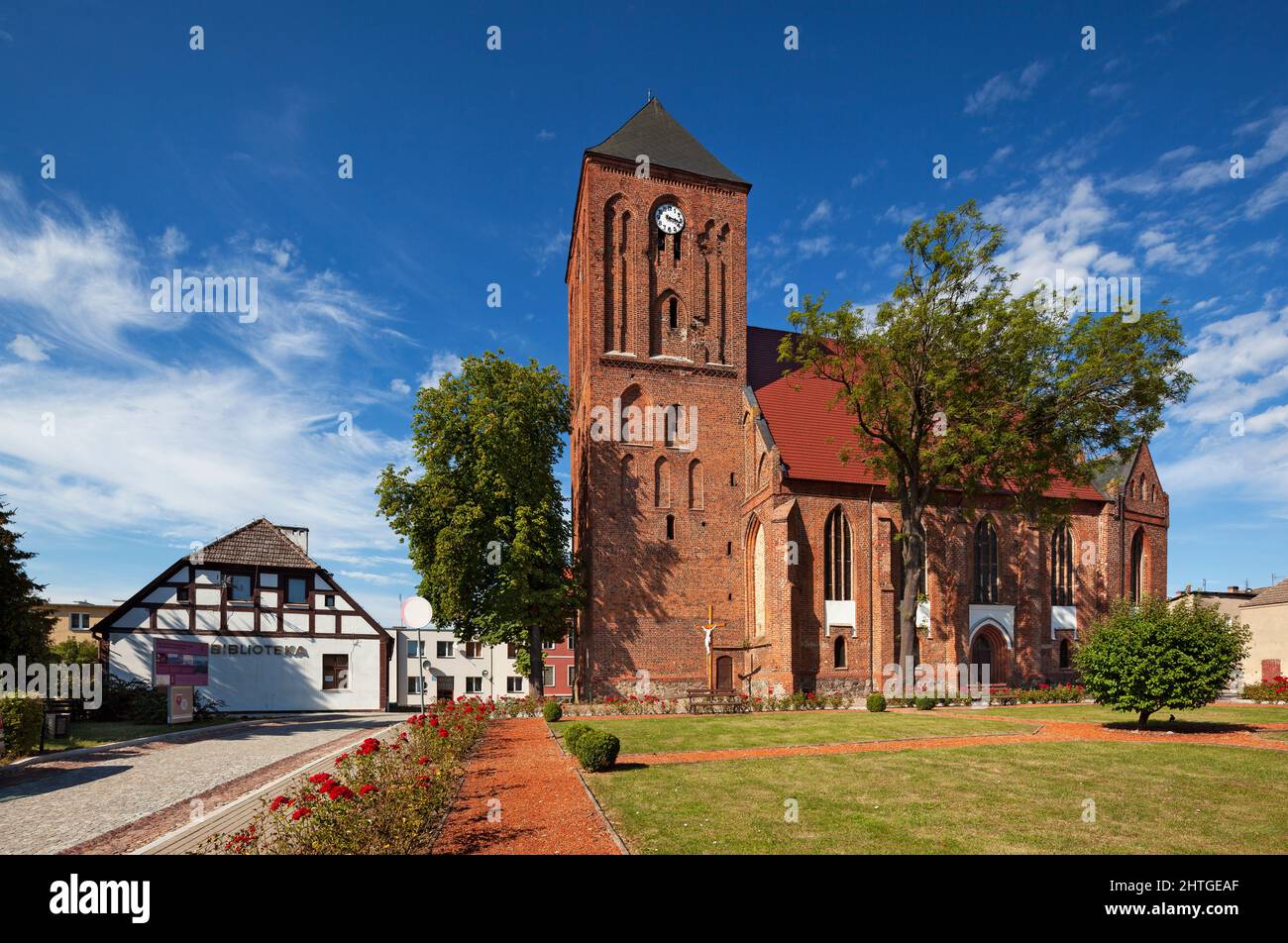 Recz, Choszczno country, Pomerania - gothic Church of Jesus, the King Stock Photo