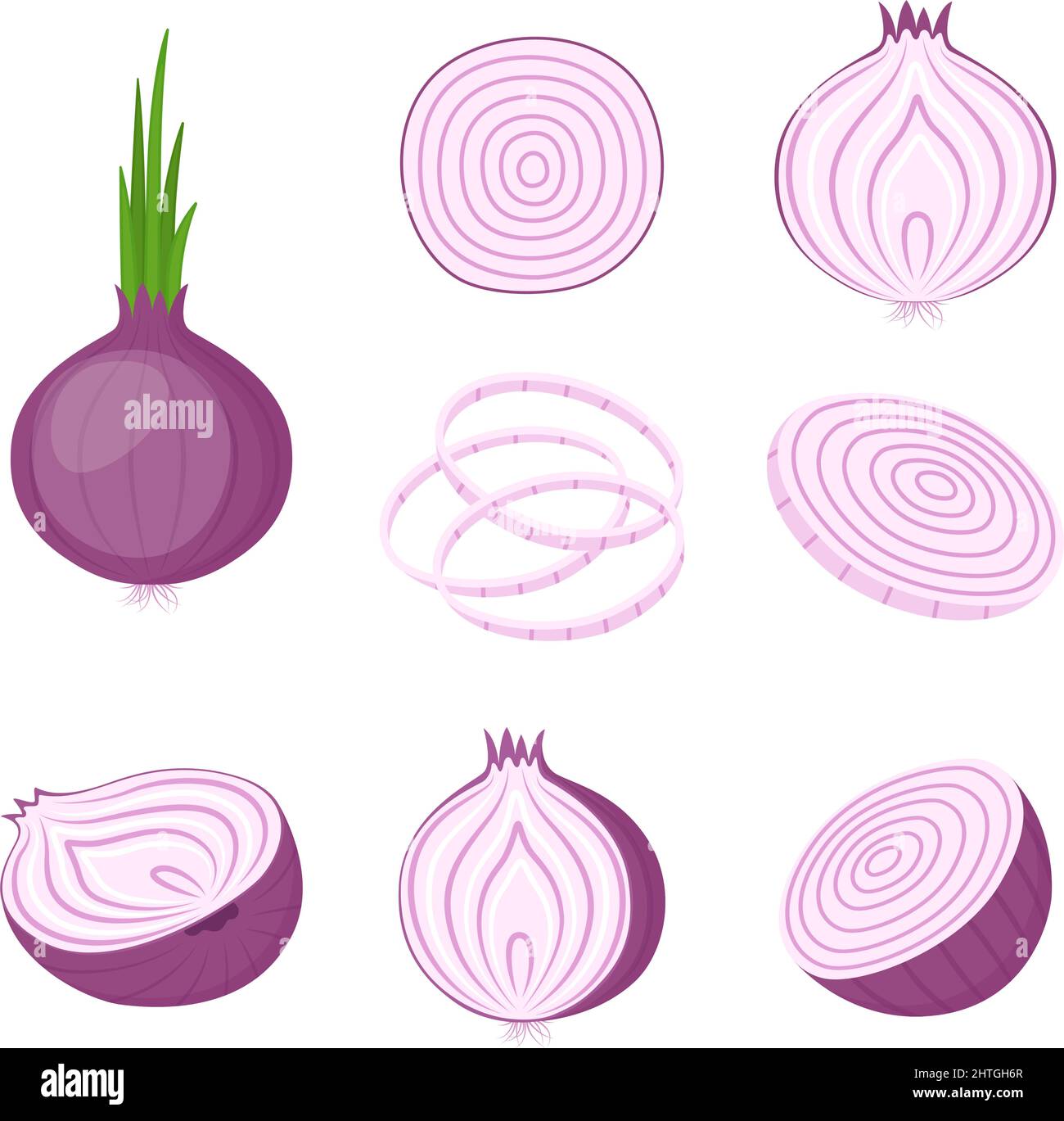 Red onion, whole and cut. Farm vegetables, vector illustration Stock Vector
