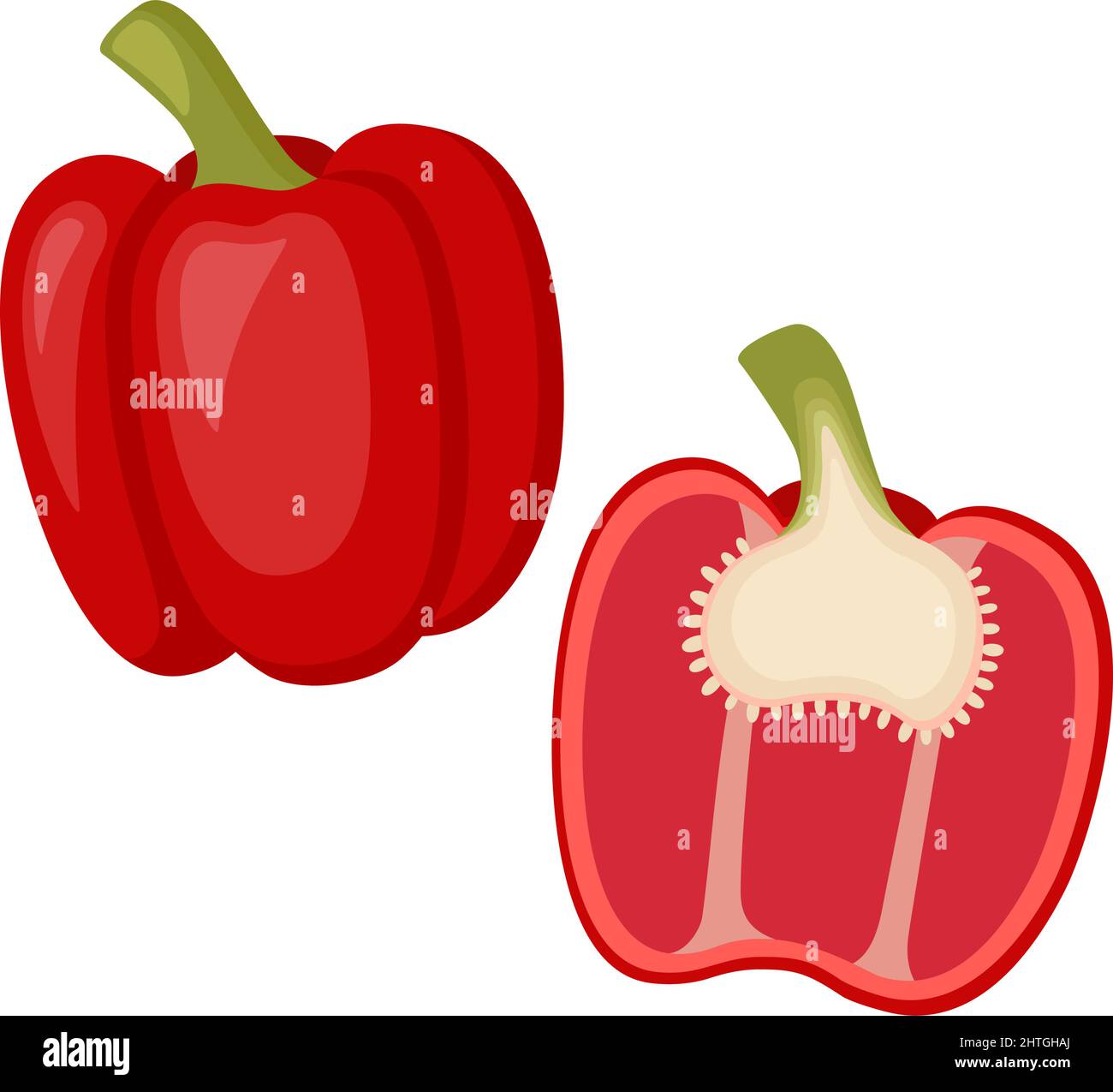 Red bell pepper, whole vegetable and half. Vector illustration Stock Vector