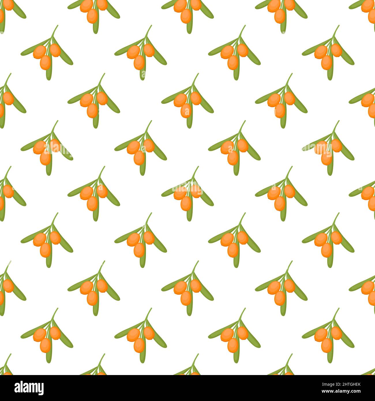 Seamless pattern with sea buckthorn, vector illustration Stock Vector