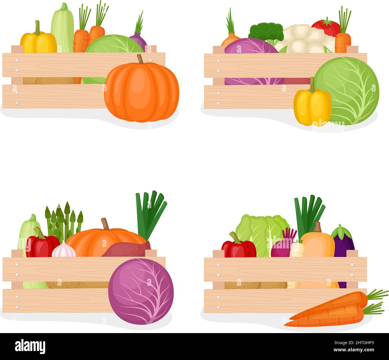 Set of wooden boxes with fresh farm vegetables, vector illustration