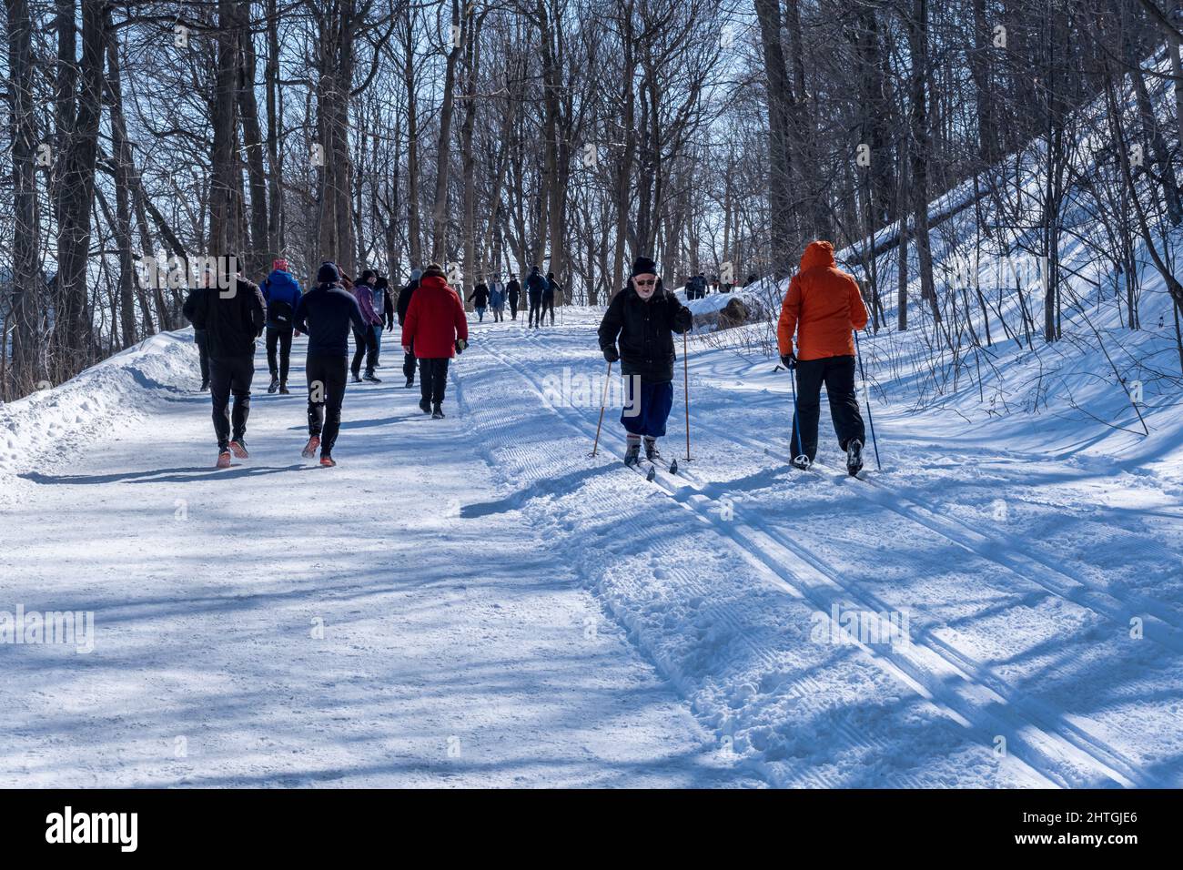 Montreal, CA 26 February 2022 People walking or skiing on a snowy