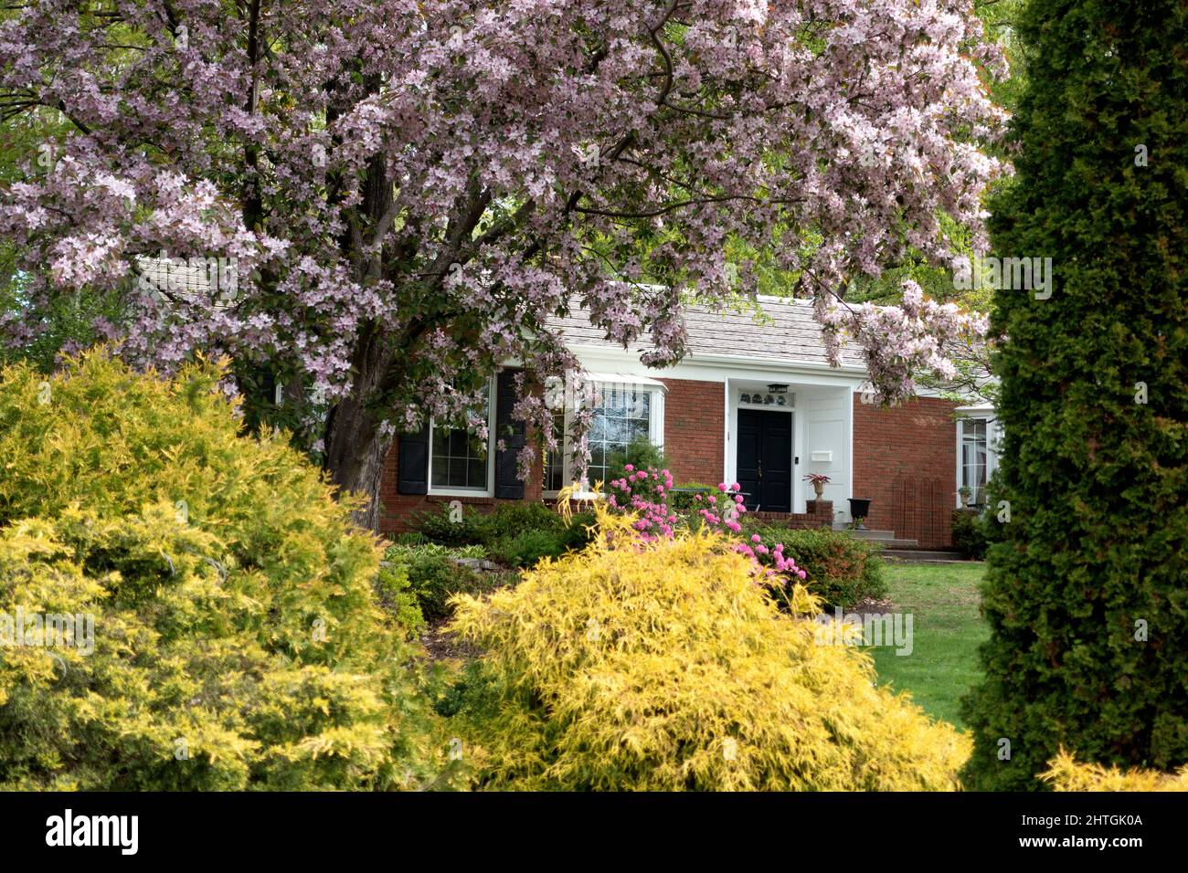 Home with spring fruit tree blooming in yard on the North Mississippi River Boulevard. St Paul Minnesota MN USA Stock Photo