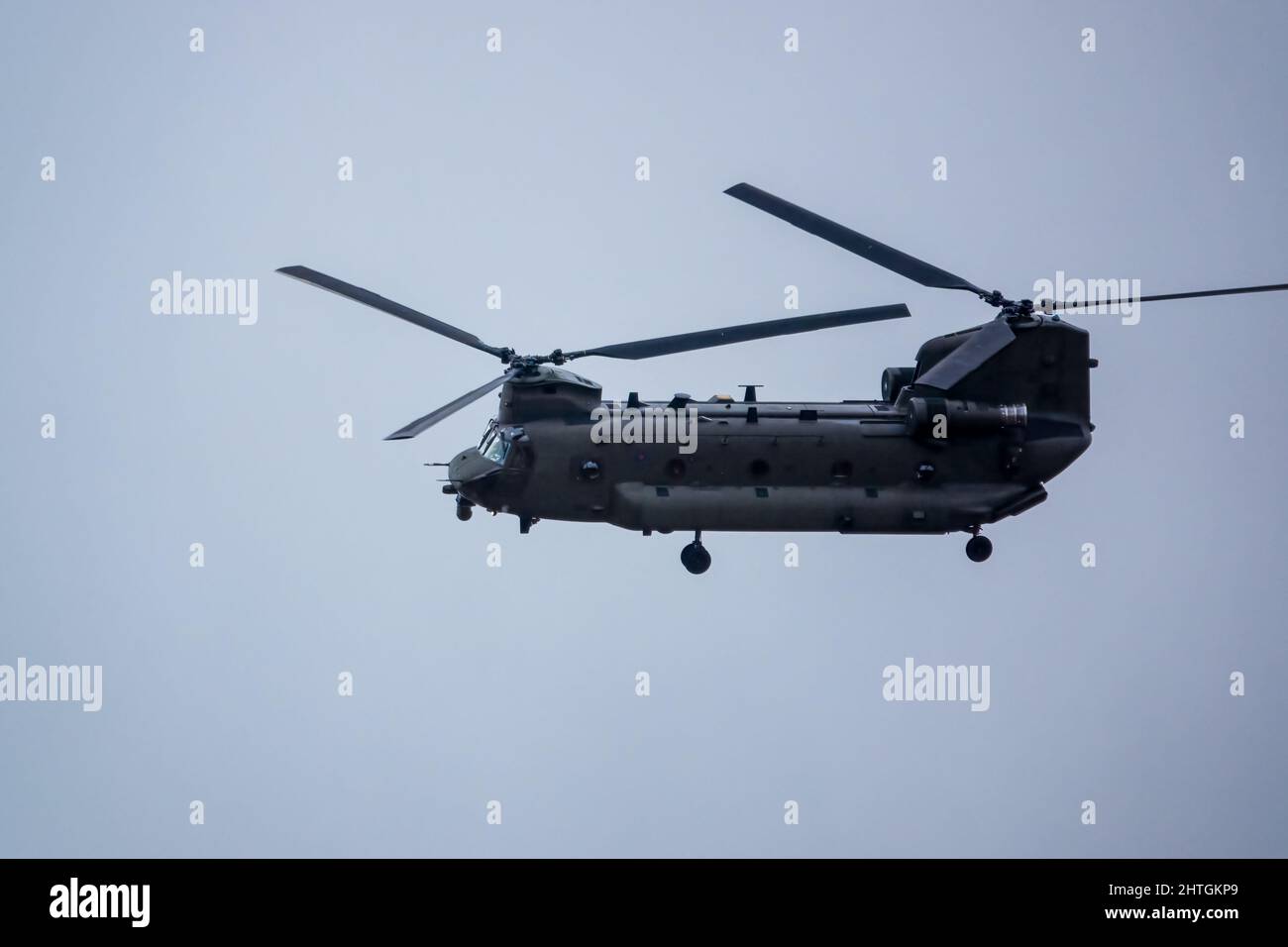 RAF Chinook tandem-rotor CH-47 helicopter flying fast and low in a ...
