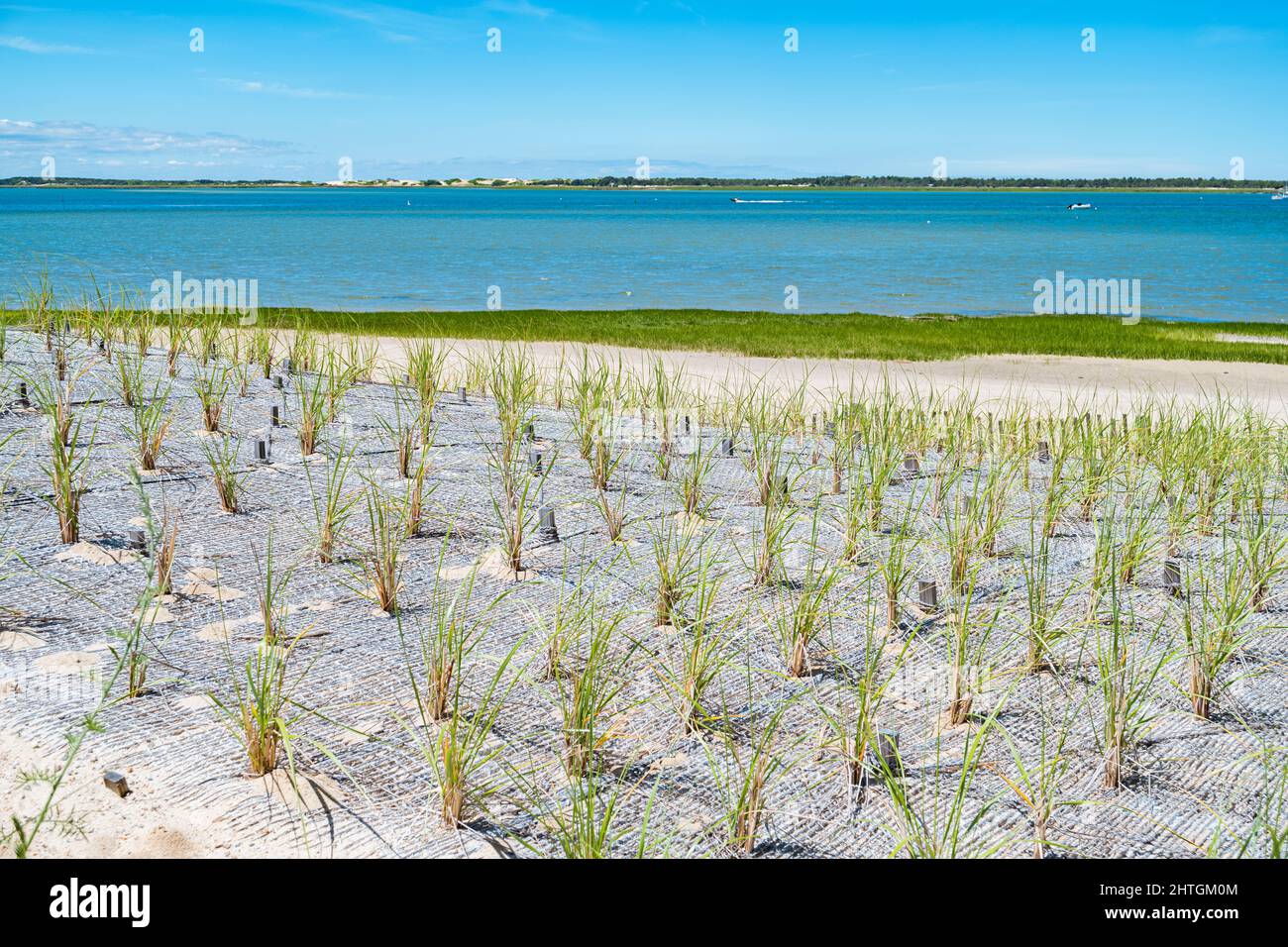 Beach Erosion Control With Plants And Lattice In Barnstable Cape Cod