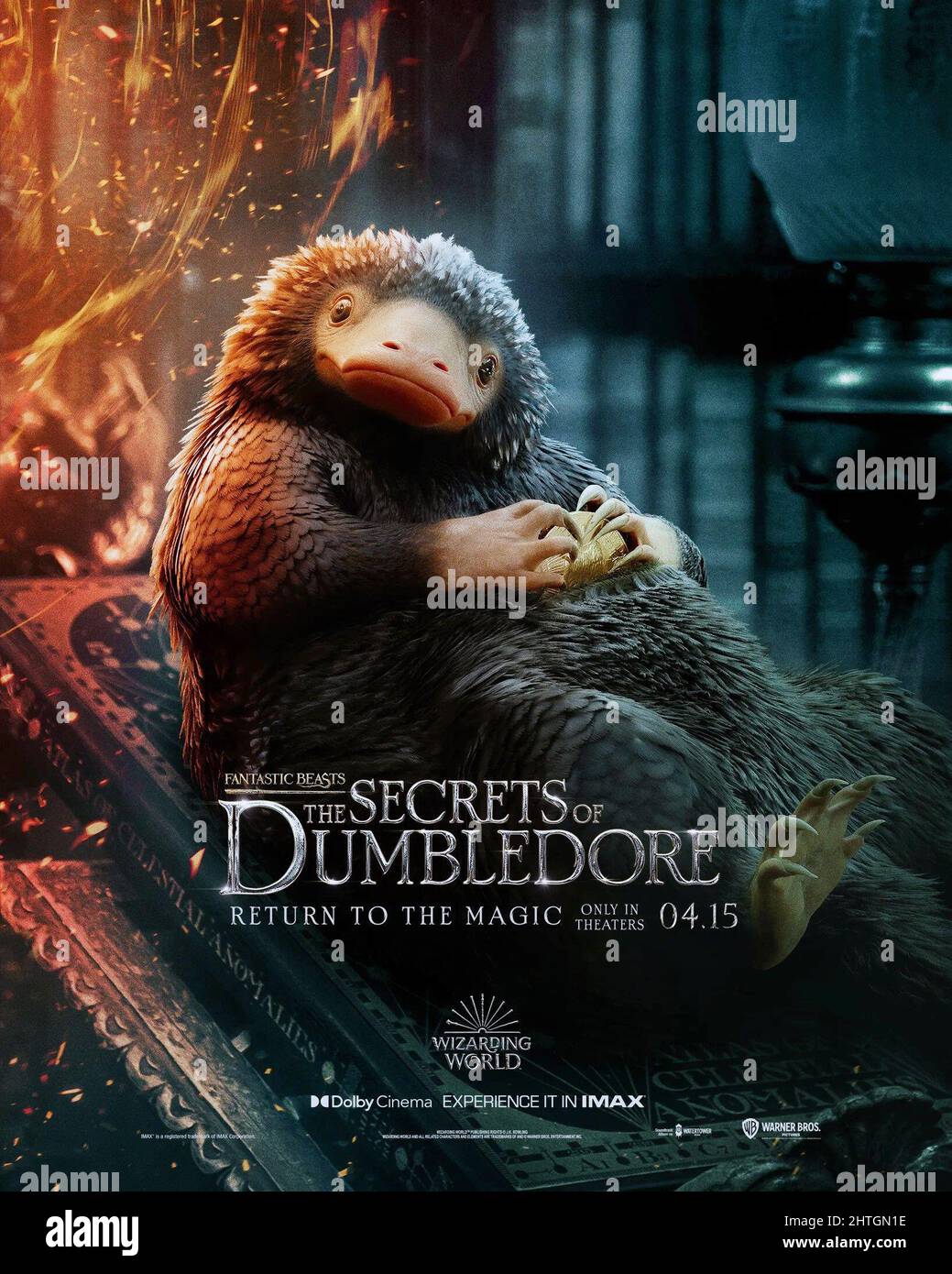 FANTASTIC BEASTS: THE SECRETS OF DUMBLEDORE, character poster, Teddy, 2022.  © Warner Bros. / Courtesy Everett Collection Stock Photo - Alamy