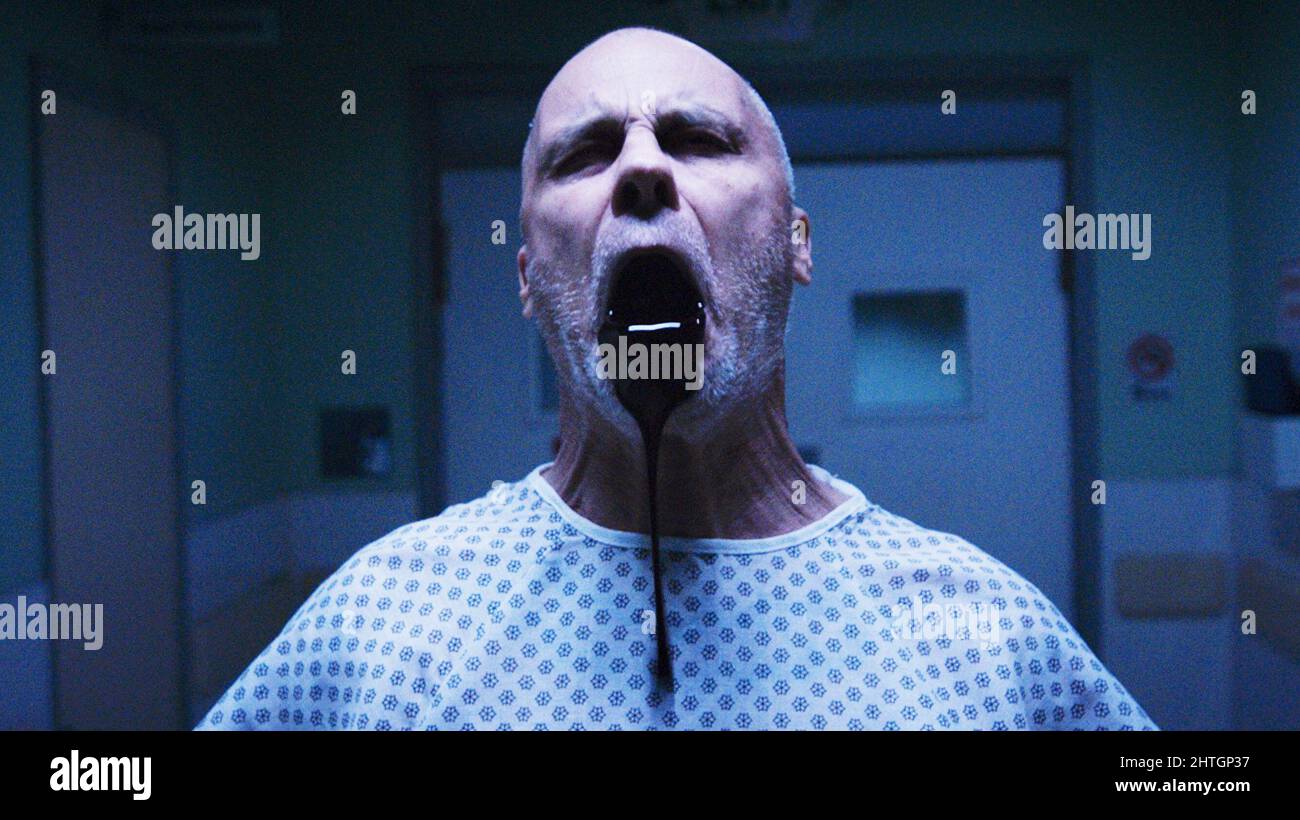 THEY LIVE IN THE GREY, Kevin