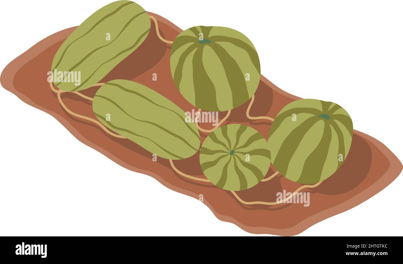 pumpkin cultivation isometric style icon Stock Vector