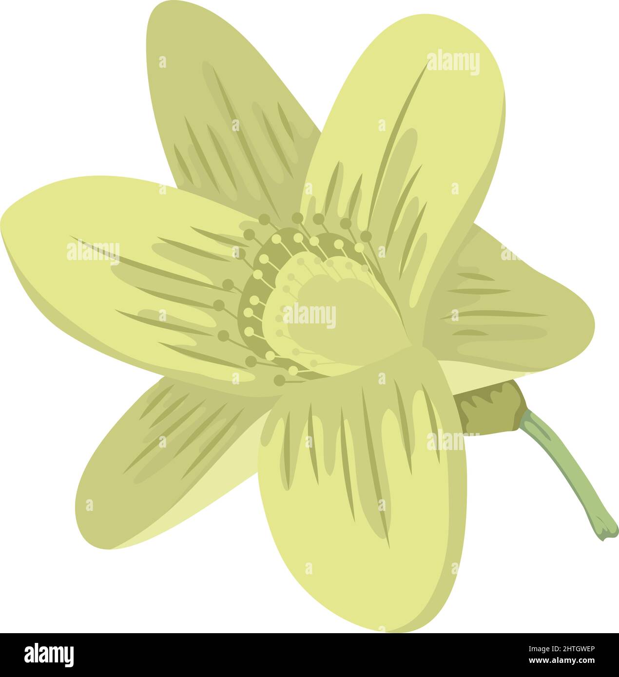 spring green flower nature icon Stock Vector Image & Art - Alamy