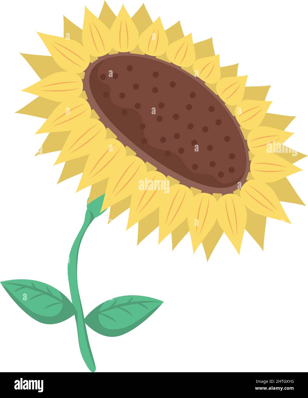 sunflower spring season nature icon Stock Vector Image & Art - Alamy