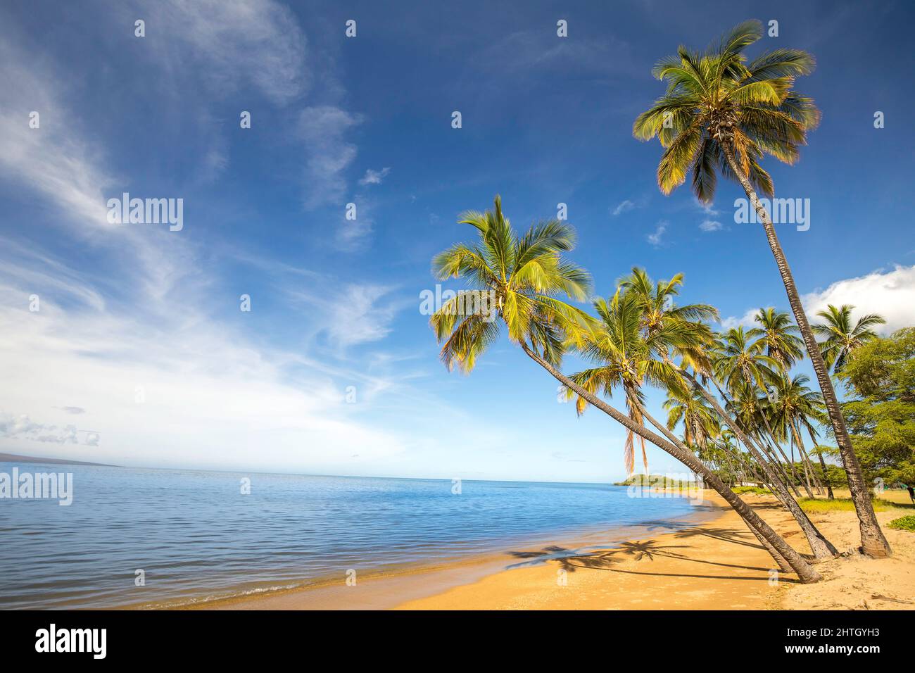 A sandy, calm beach and palm trees at Kakahaia Beach Park, island of Molokai, Hawaii, United States of America, Pacific. Stock Photo