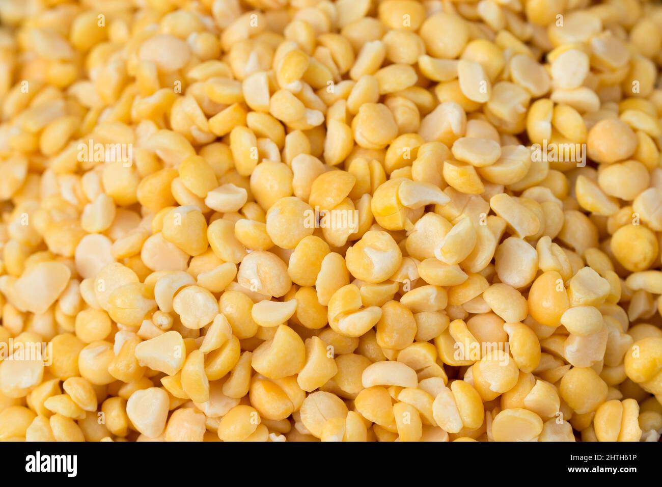 dried yellow peas soakted in water Stock Photo Alamy