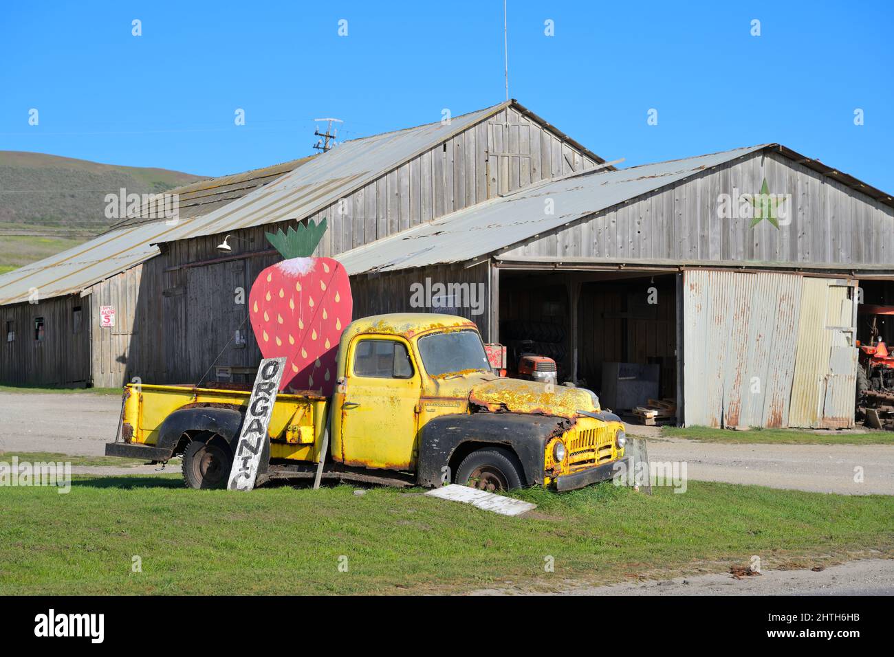 The Berry Farm, Davenport CA Stock Photo