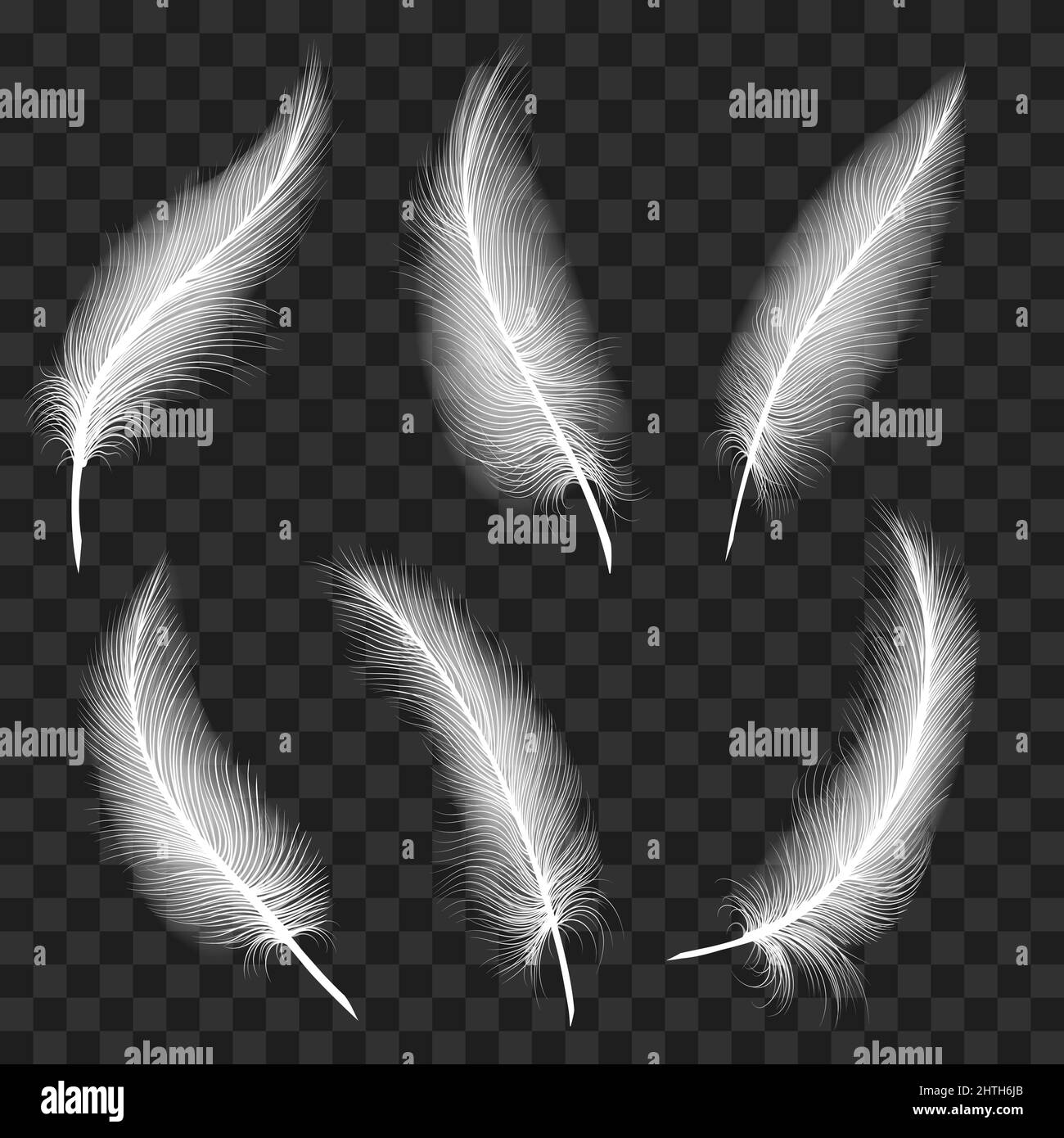 Curved white feathers Stock Vector