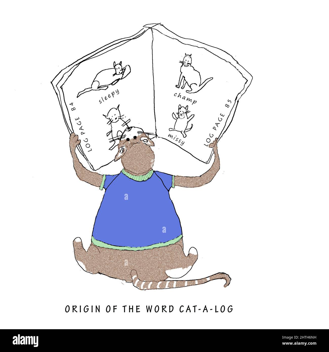 Definition of Catalog Stock Photo Alamy