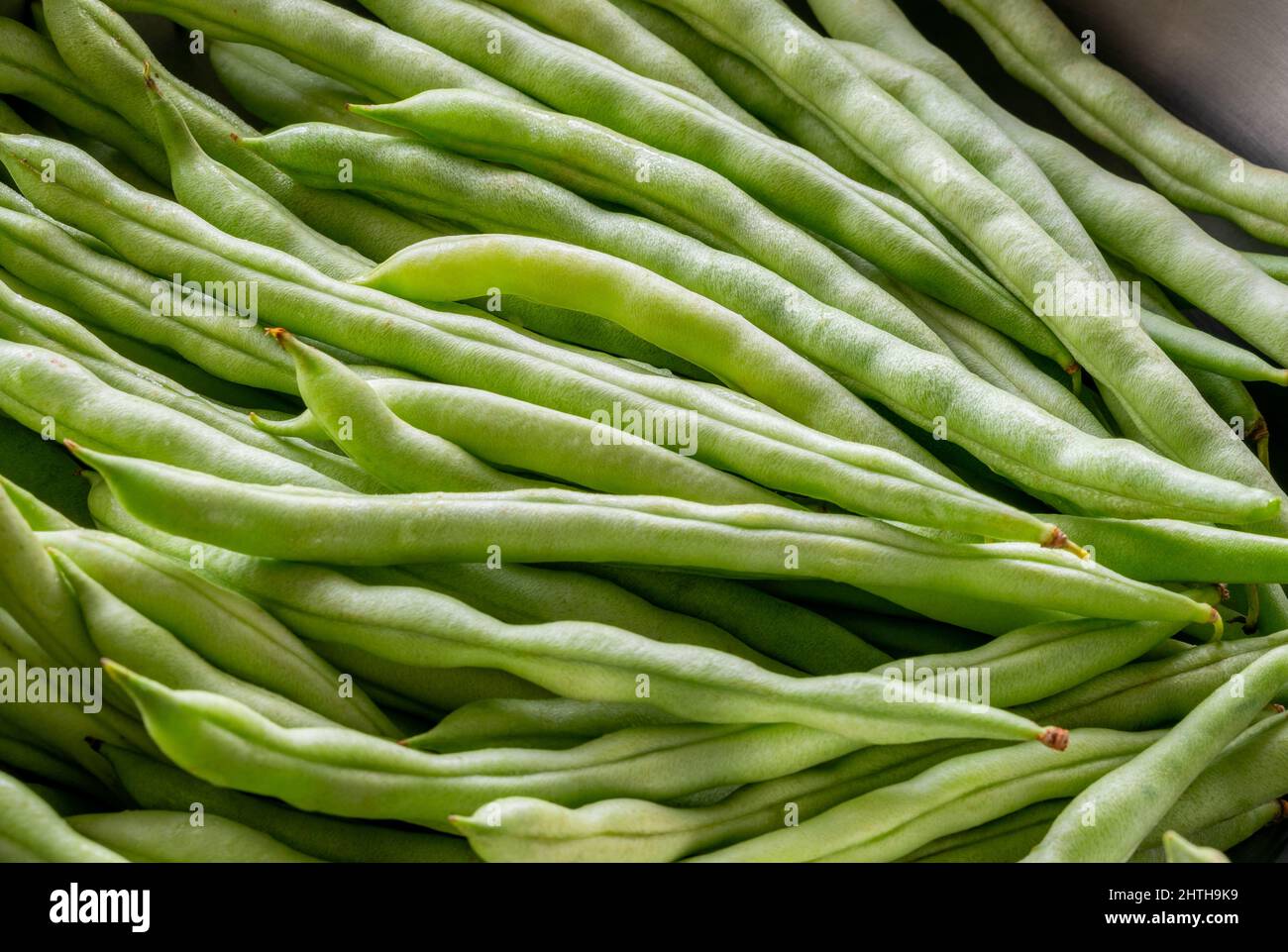 Close up organic string beans in a kitchen bowl, fresh string beans