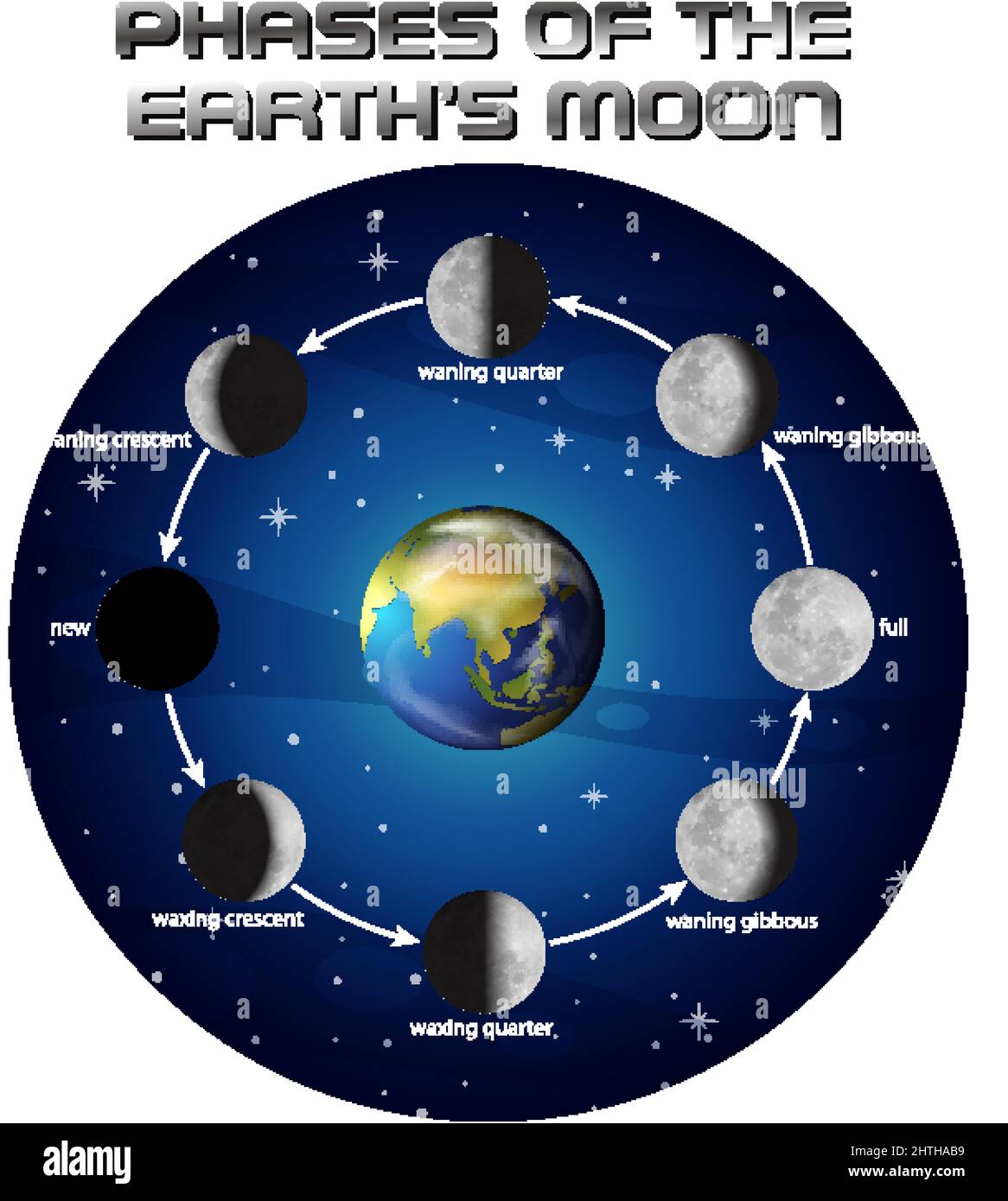 Phases of the moon for science education illustration Stock Vector