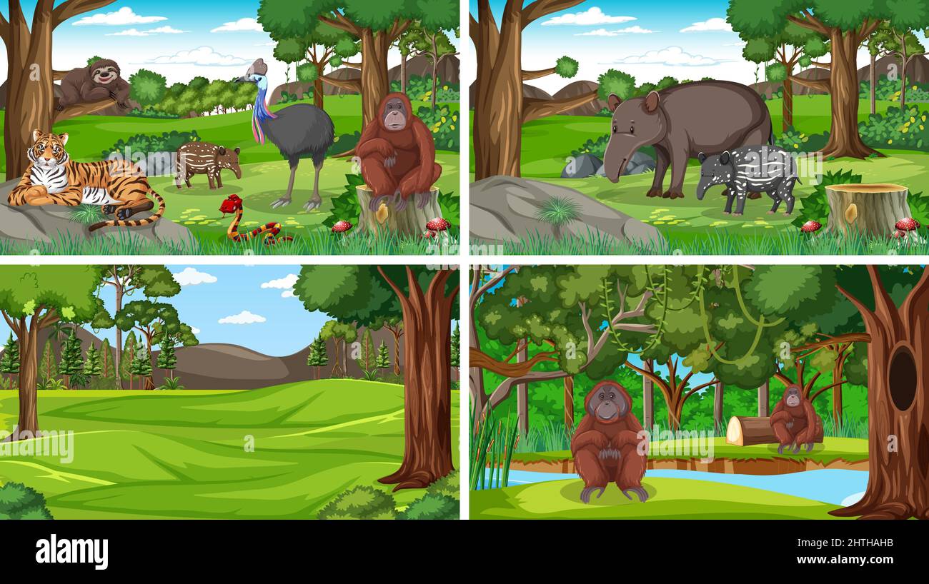 Scenes with wild animals in forest illustration Stock Vector Image ...