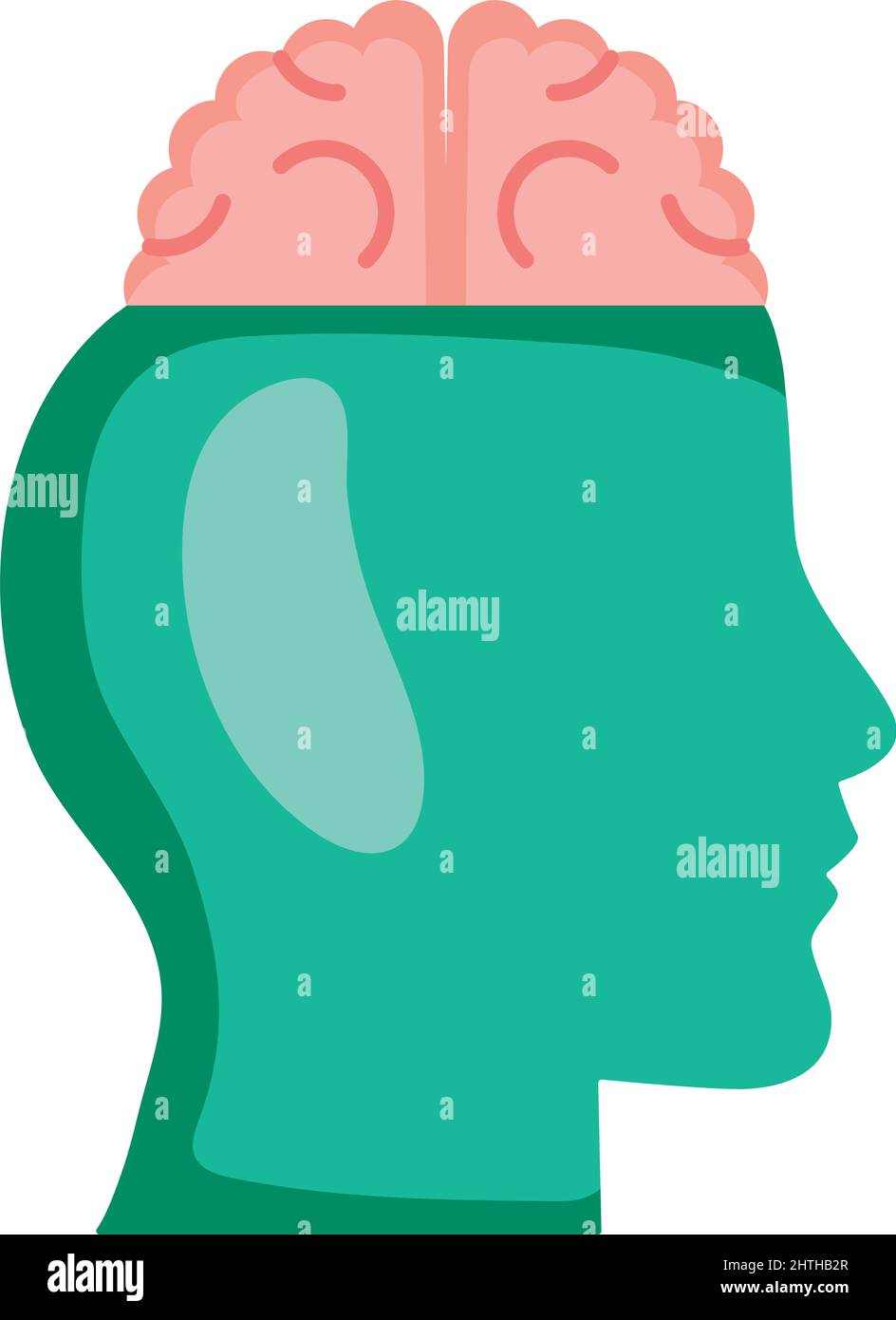 head and brain Stock Vector Image & Art - Alamy