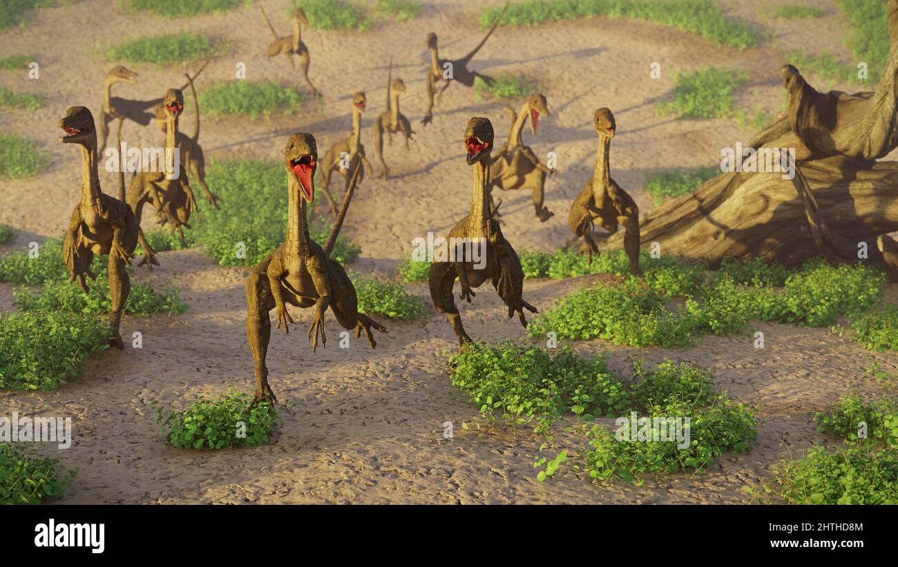 Compsognathus longipes, group of dinosaurs from the Late Jurassic period Stock Photo