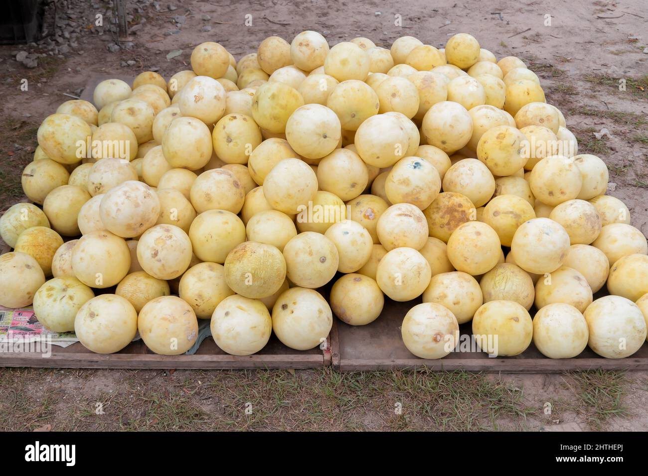 Melon Rack Melon rack hi-res stock photography and images - Alamy