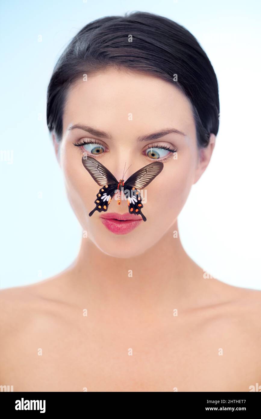 Butterflies nose hires stock photography and images Alamy