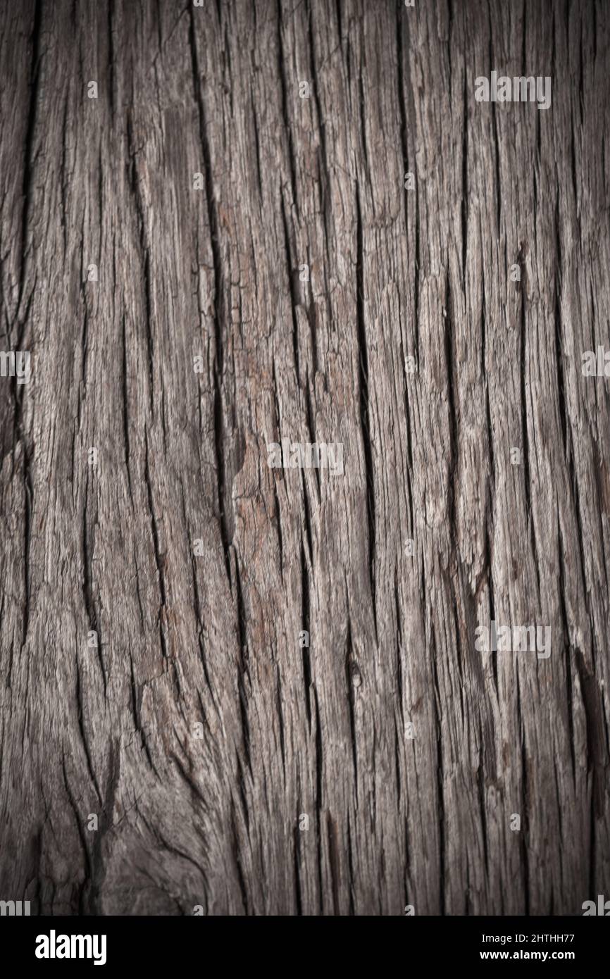 Texture of old bark wood use for natural background Stock Photo - Alamy