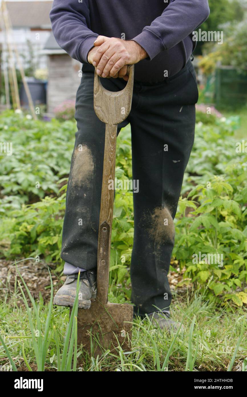 Undated file photo of a man with a spade. An hour a week of heavy gardening could help reduce a person's risk of premature death, a new study suggests. Taking part in muscle-strengthening activities such as lifting weights, resistance training or gardening activities including digging and shovelling for 30 to 60 minutes each week has been linked to a reduced risk of premature death and some major diseases. Issue date: Tuesday March 1, 2022. Stock Photo