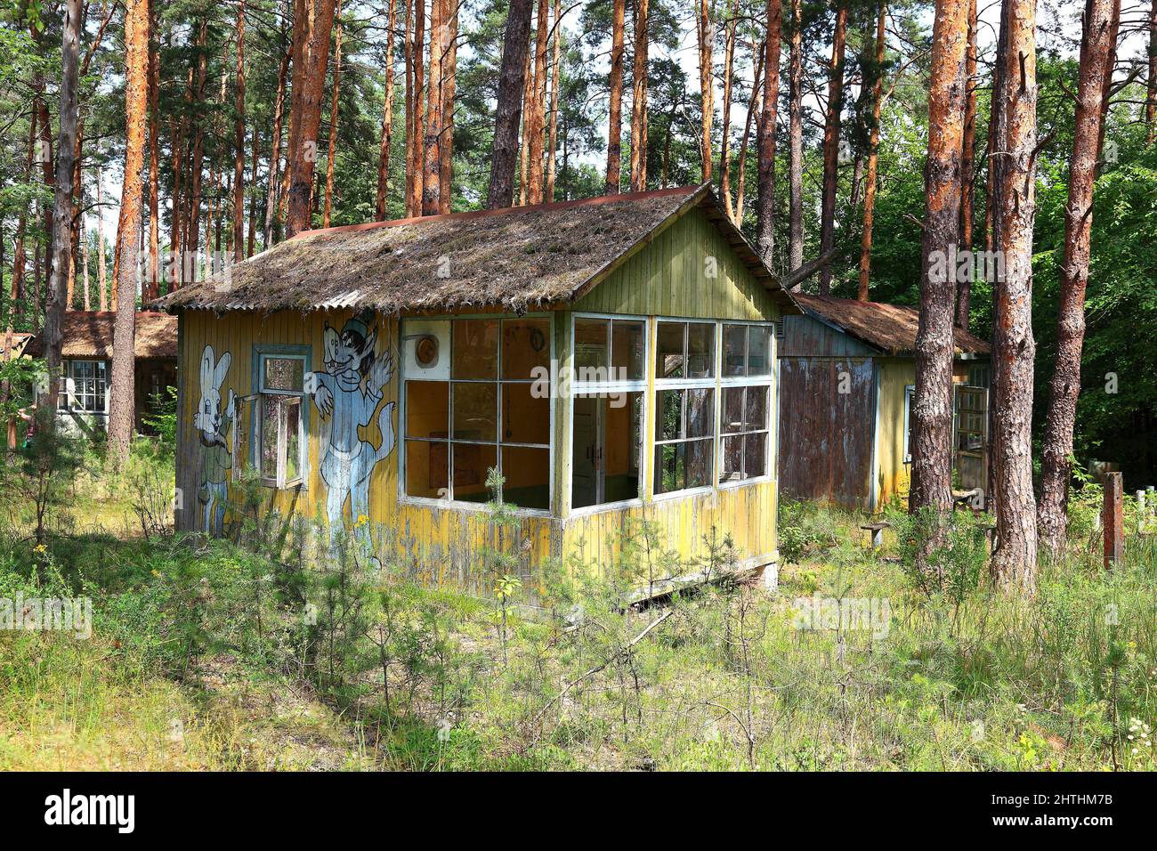 Ukraine, Sperrzone, in der unbewohnbaren 30-Kilometer-Zone um das Kraftwerk von Tschernobyl und der Arbeitersiedlung Pripjat, bemalte Holzhuette im Ki Stock Photo