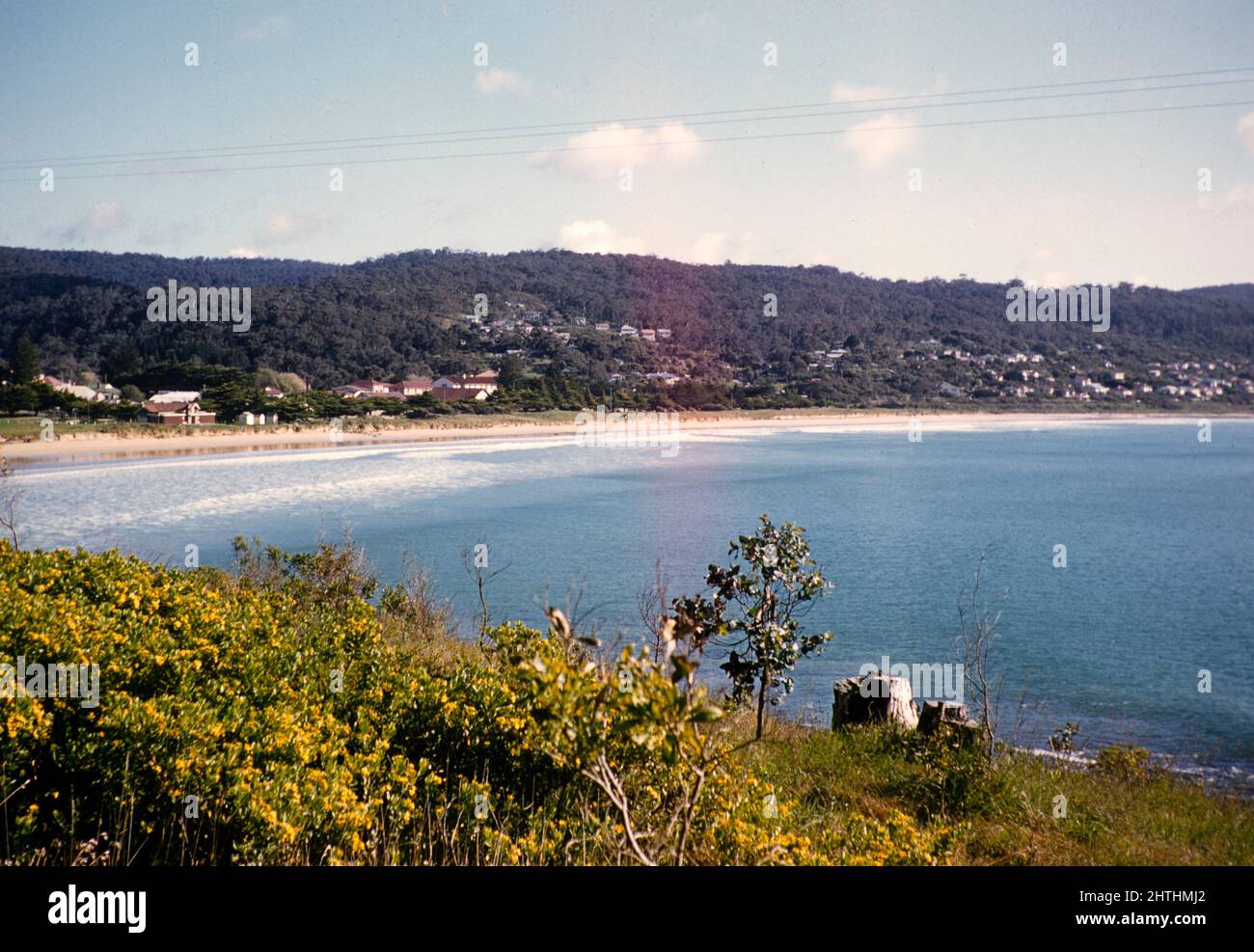 Village houses in sandy bay with calm sea, Apollo Bay, Victoria
