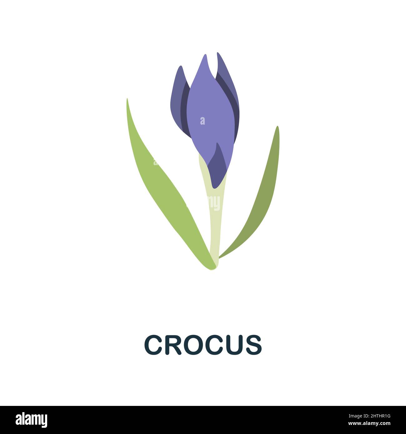 Crocus flat icon. Colored element sign from flowers collection. Flat Crocus icon sign for web design, infographics and more. Stock Vector