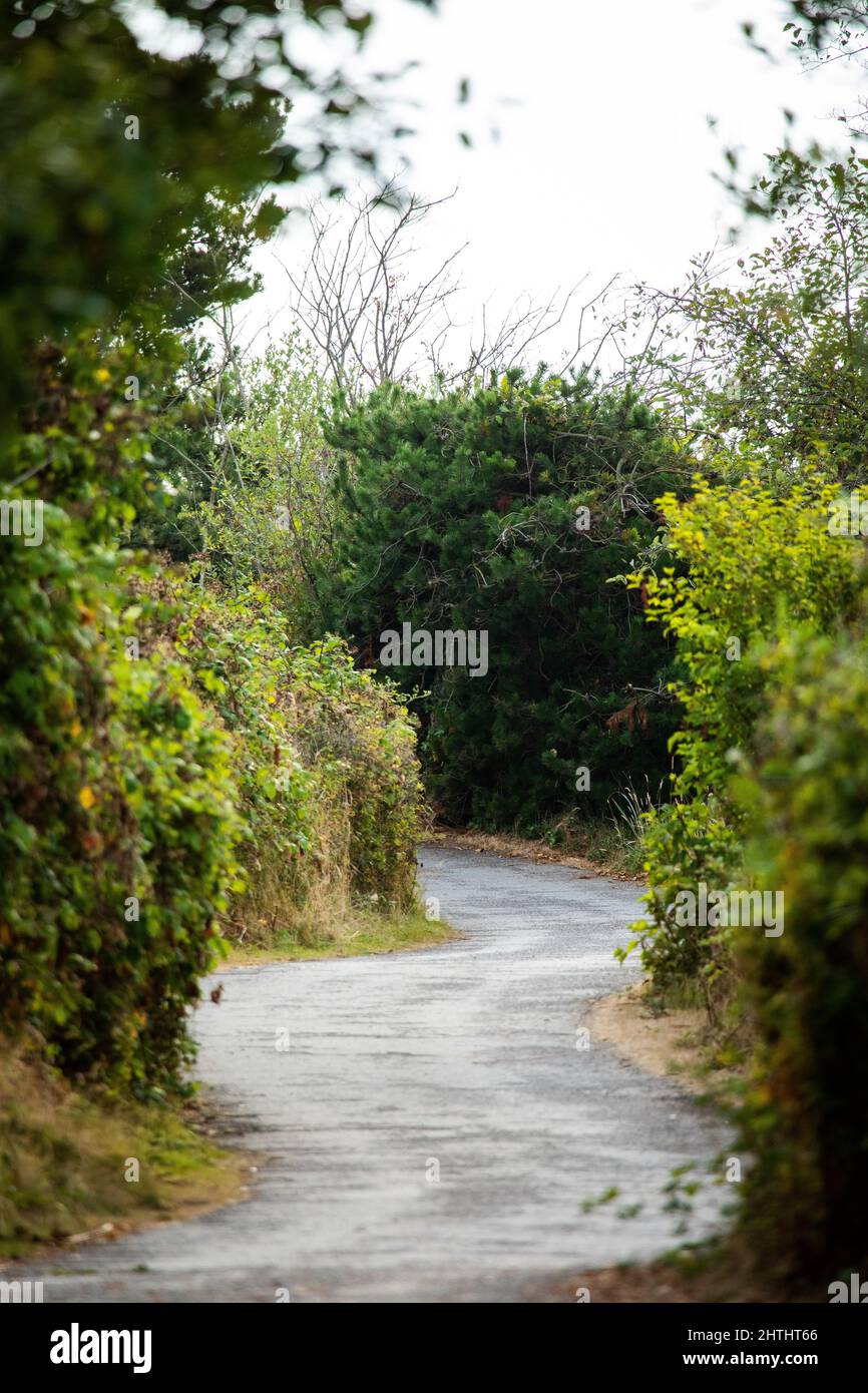 Vertical shot beautiful pathway hi-res stock photography and images - Alamy