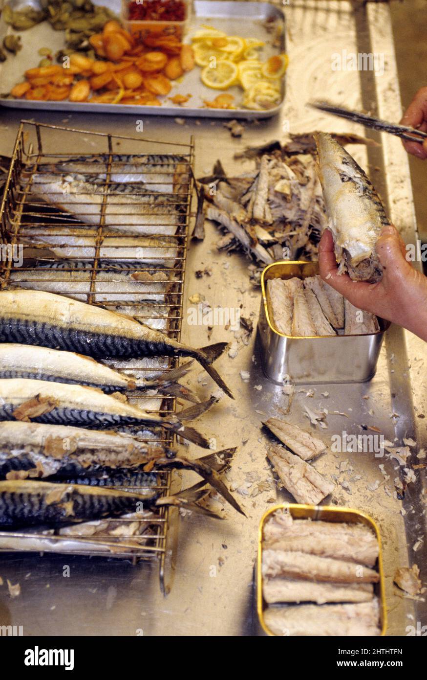 mackerel can preserve production Stock Photo Alamy