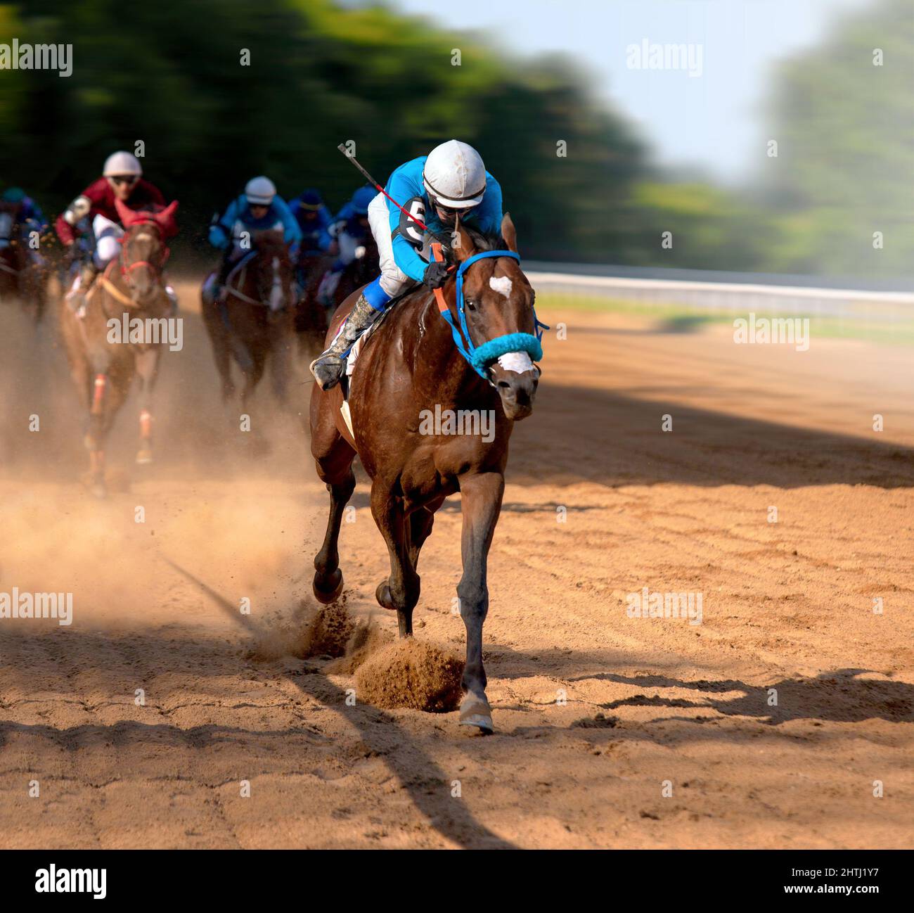 Galloping race horses in racing competition. Jockey on racing horse. Sport. Champion. Hippodrome. Equestrian. Derby. Speed Stock Photo