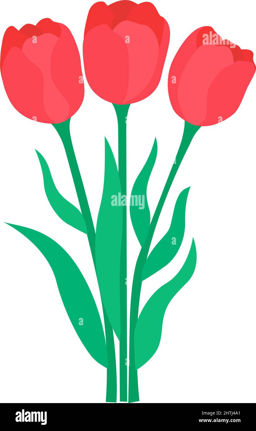 Bouquet scarlet tulips Stock Vector