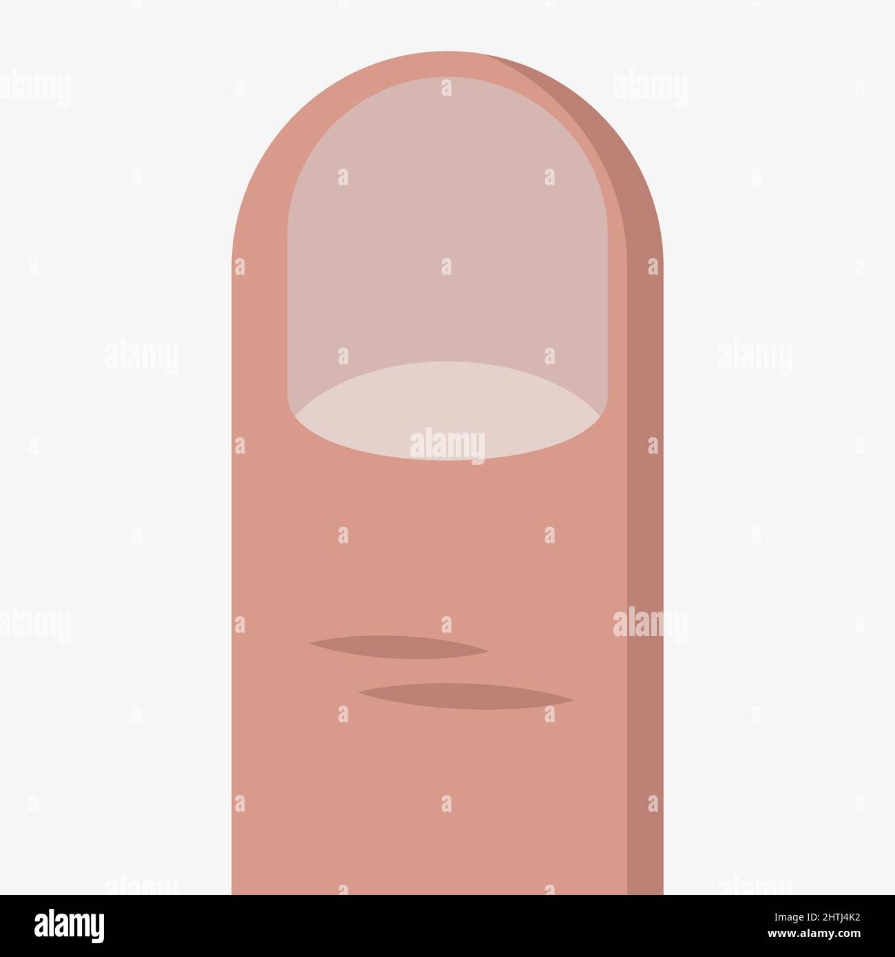 Finger vector icon isolated on white background Stock Vector Image ...