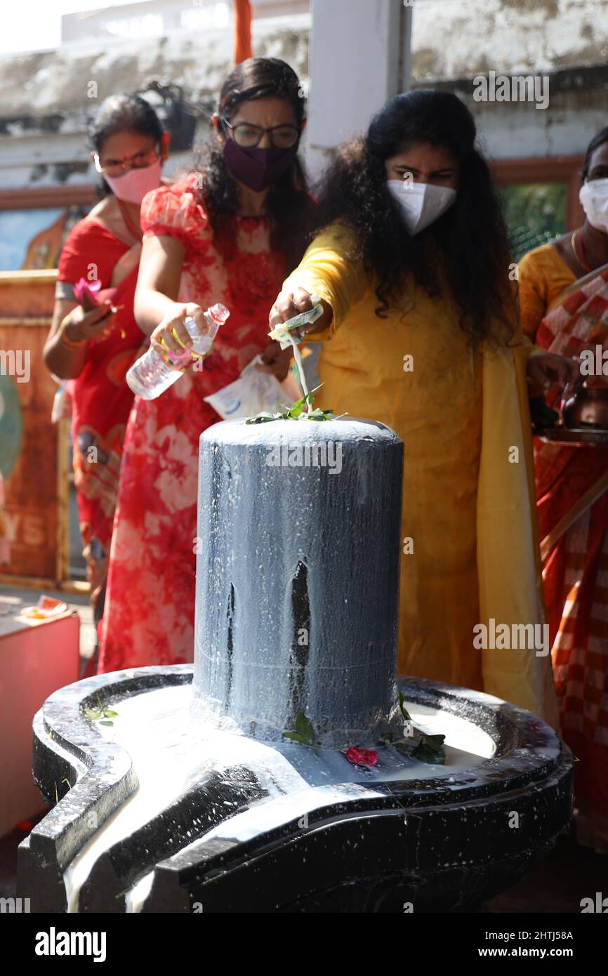 Chennai, Tamil Nadu, India. 1st Mar, 2022. Hindu devotees perform rituals of pouring milk and water onto a Shiva Lingam, a stone sculpture representing Hindu Lord Shiva, on the occasion of the Maha Shivratri festival at a temple in Chennai. (Credit Image: © Sri Loganathan/ZUMA Press Wire) Stock Photo