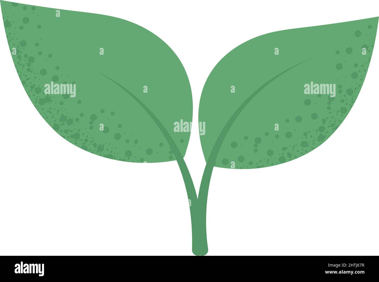 green leaves design Stock Vector Image & Art - Alamy