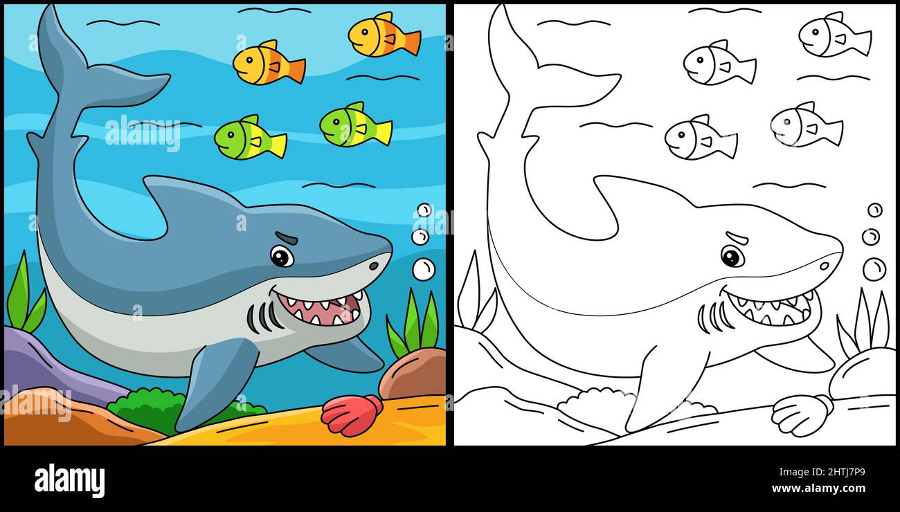 Great White Shark Coloring Colored Illustration Stock Vector