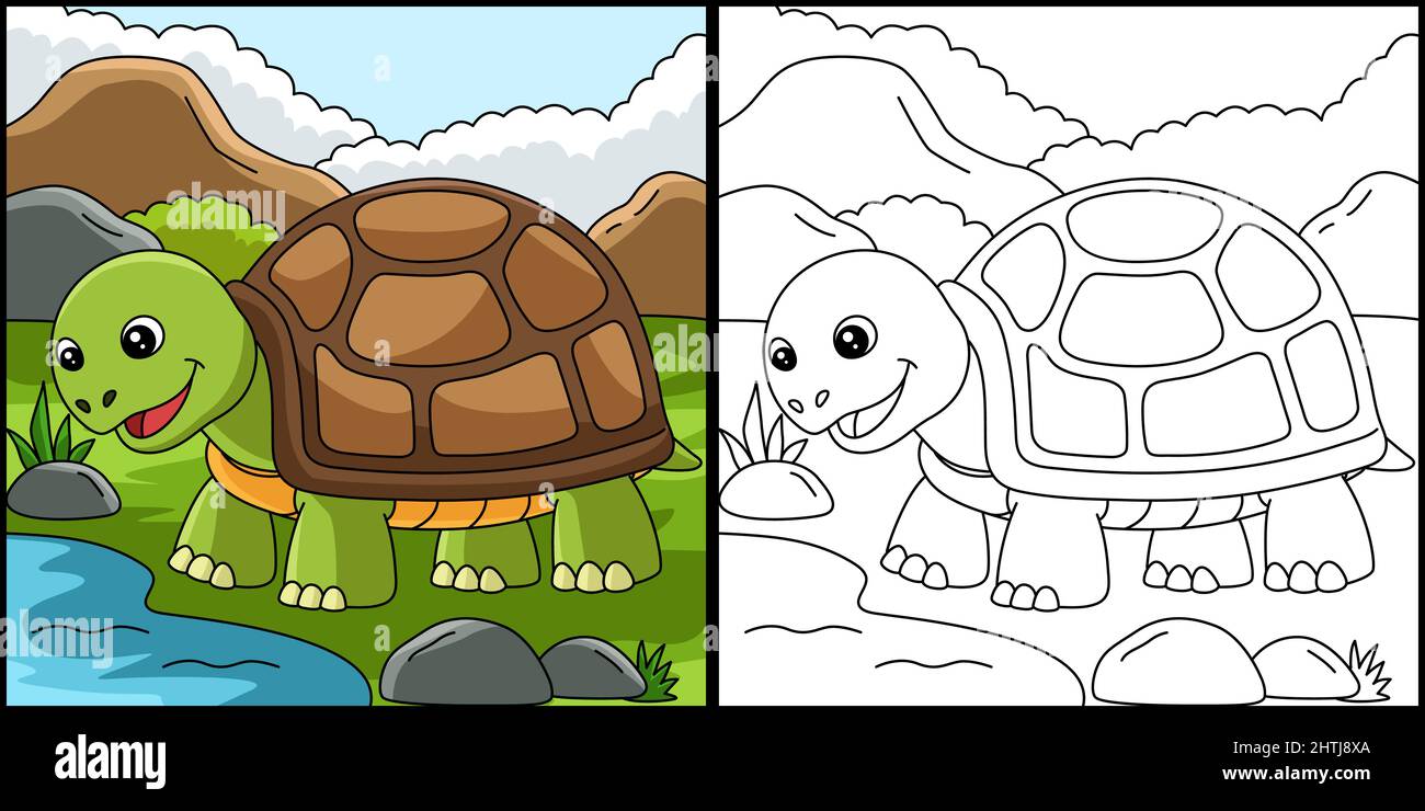 Turtle Coloring Page Animal Illustration Stock Vector Image & Art - Alamy