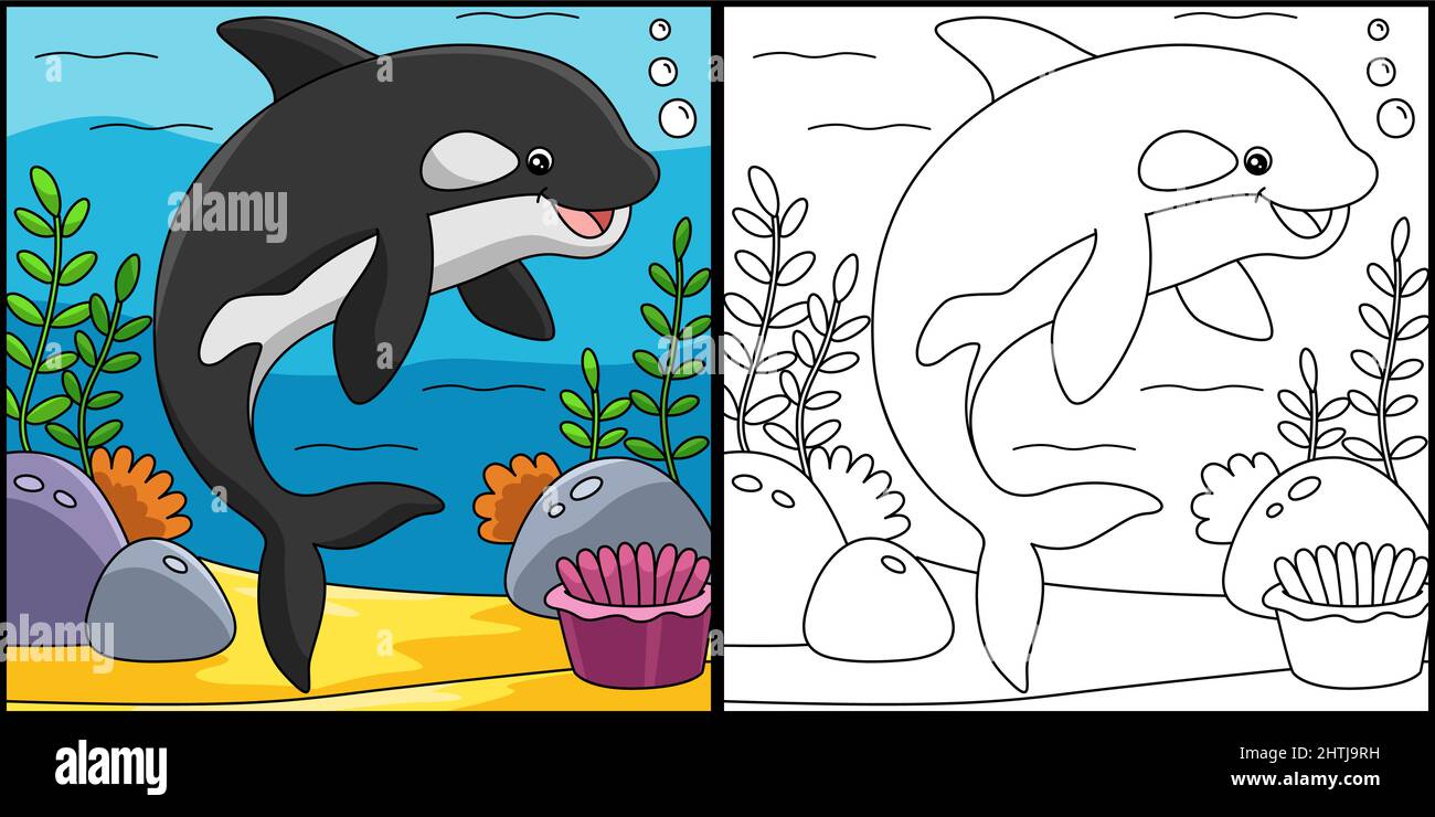 Killer Whale Coloring Page Colored Illustration Stock Vector