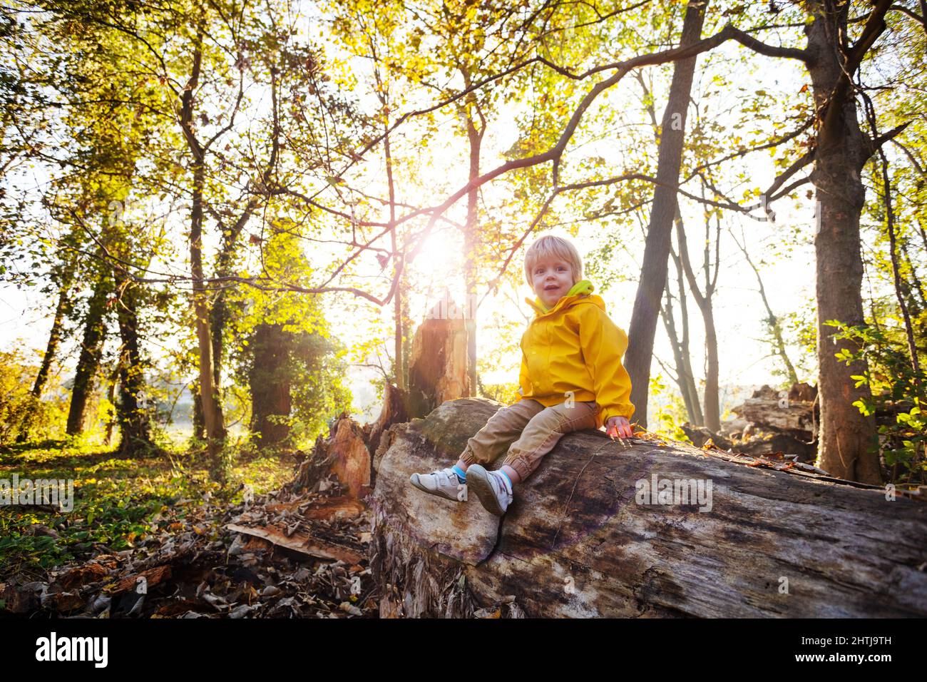 Happy smiling boy in autumn sunny forest Stock Photo - Alamy