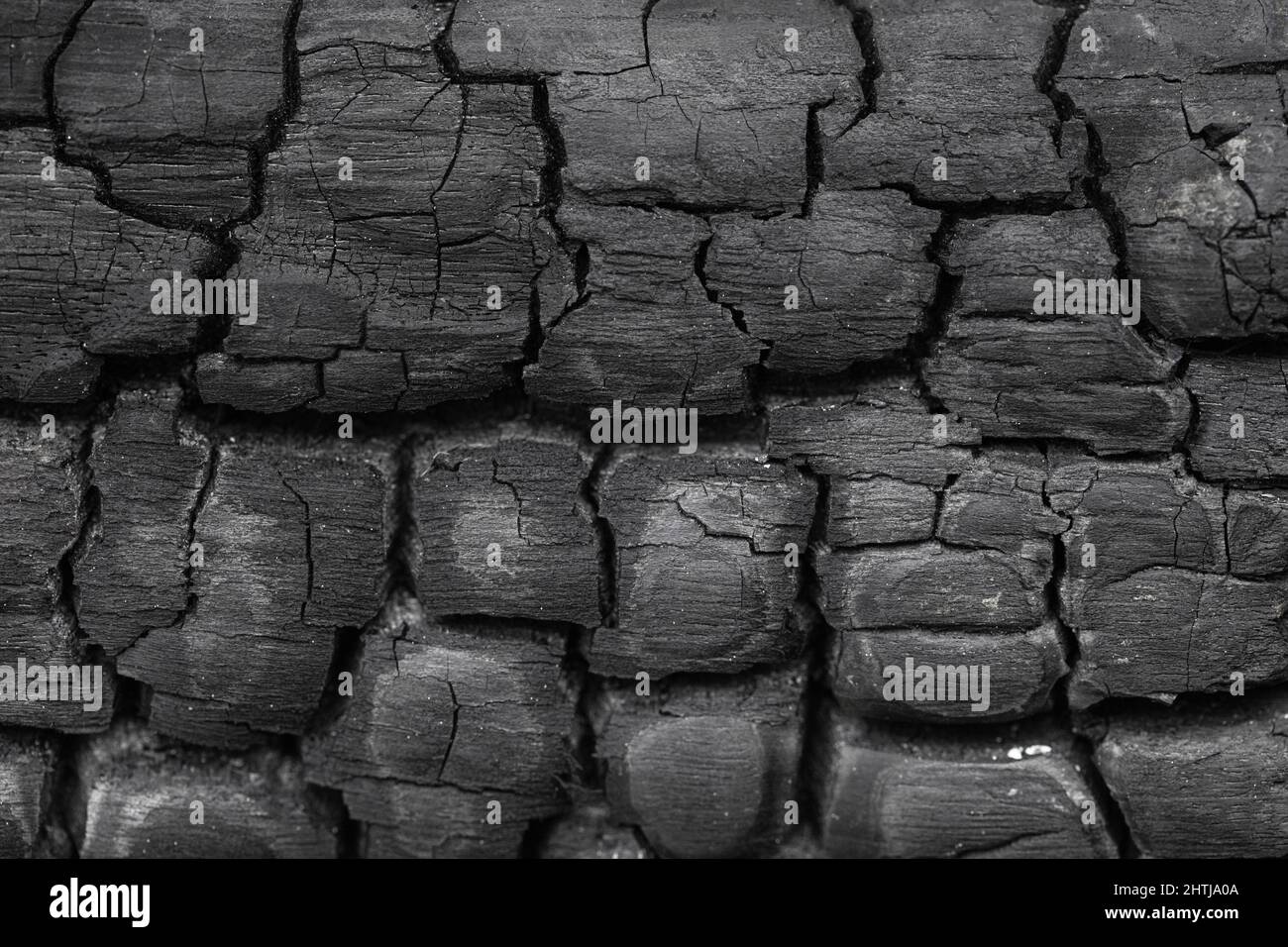 Black burned carbonized wood texture closeup image Stock Photo Alamy