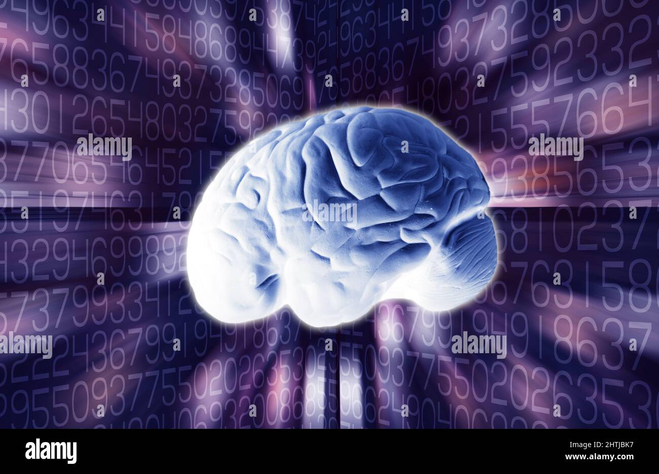 human brain and numbers, cognitive and logical brain function Stock Photo