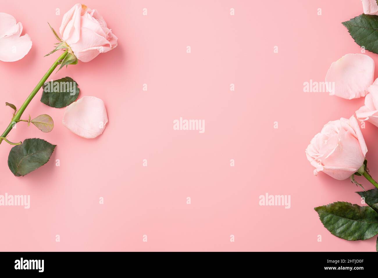 Dành tặng món quà đặc biệt nhất cho mẹ của bạn vào ngày Quốc tế Phụ nữ với những bông hoa hồng tuyệt vời này. Cảm nhận tình yêu và sự quan tâm từ mẹ được biểu đạt qua mùi hương tinh tế của những bông hoa đầy ý nghĩa.