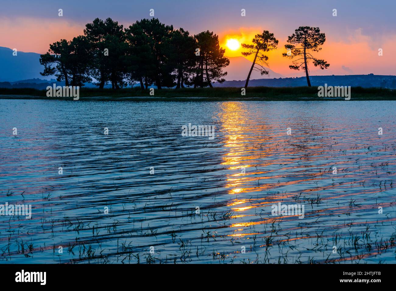 Peaceful landscape of tree growing in grassy terrain near rippling against cloudy sunset sky in highlands in Extremadura, Spain Stock Photo