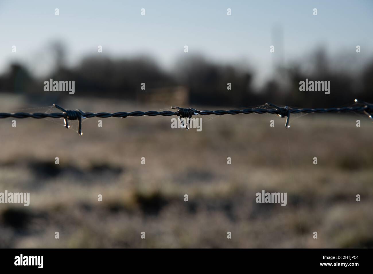 Barbed wire close up with water drops Stock Photo